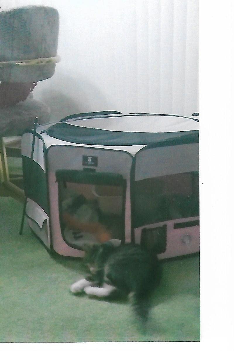 X-ZONE PET Foldable Dog Playpen, Portable Pet Play Pen for Puppy Cat, Pink customer photo 2