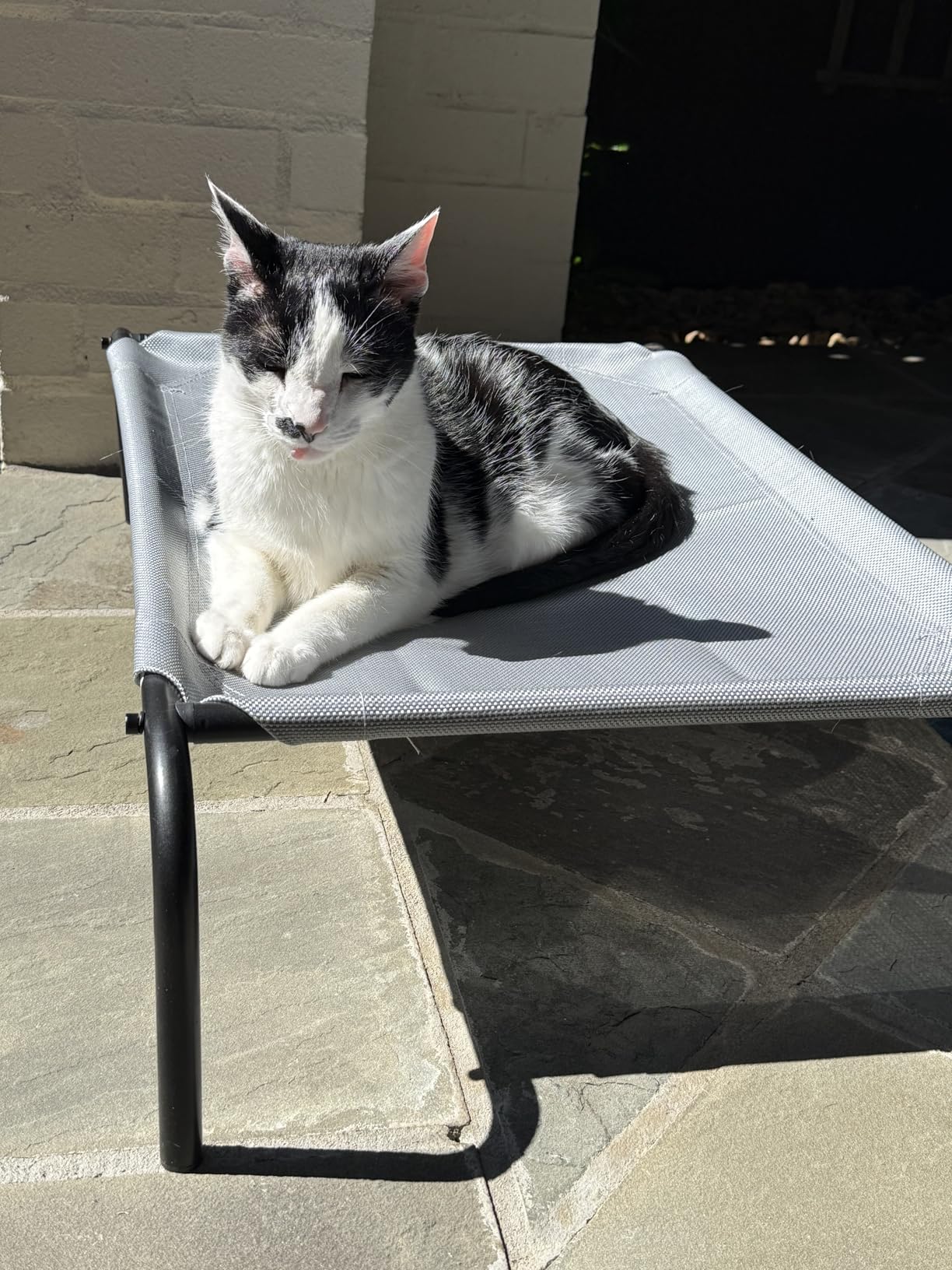 Heavy Duty Steel-Framed Portable Elevated Pet Bed, Elevated Cooling Pet Cot, 43.5