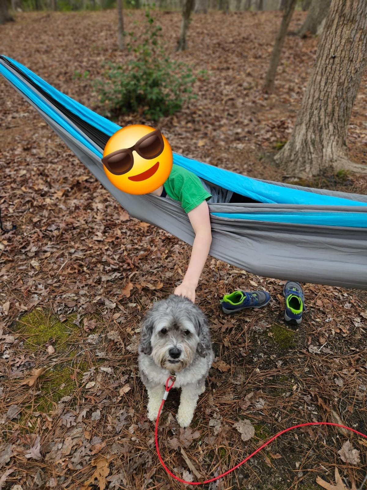 Kootek Camping Hammock 500lbs Capacity Outdoor Camping Essentials, Double customer photo 2