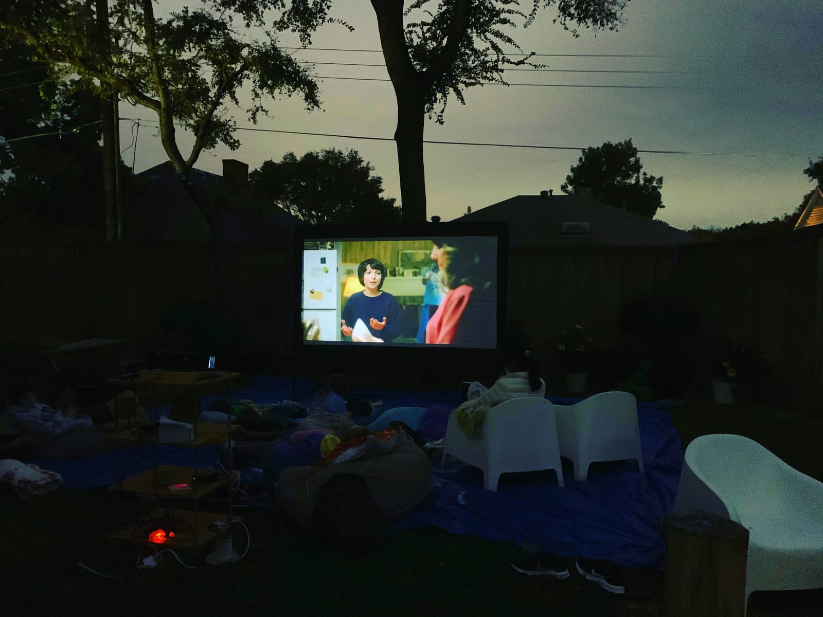 Optoma HD146X 1080P Full HD Vibrant Home Theater Projector customer photo 1