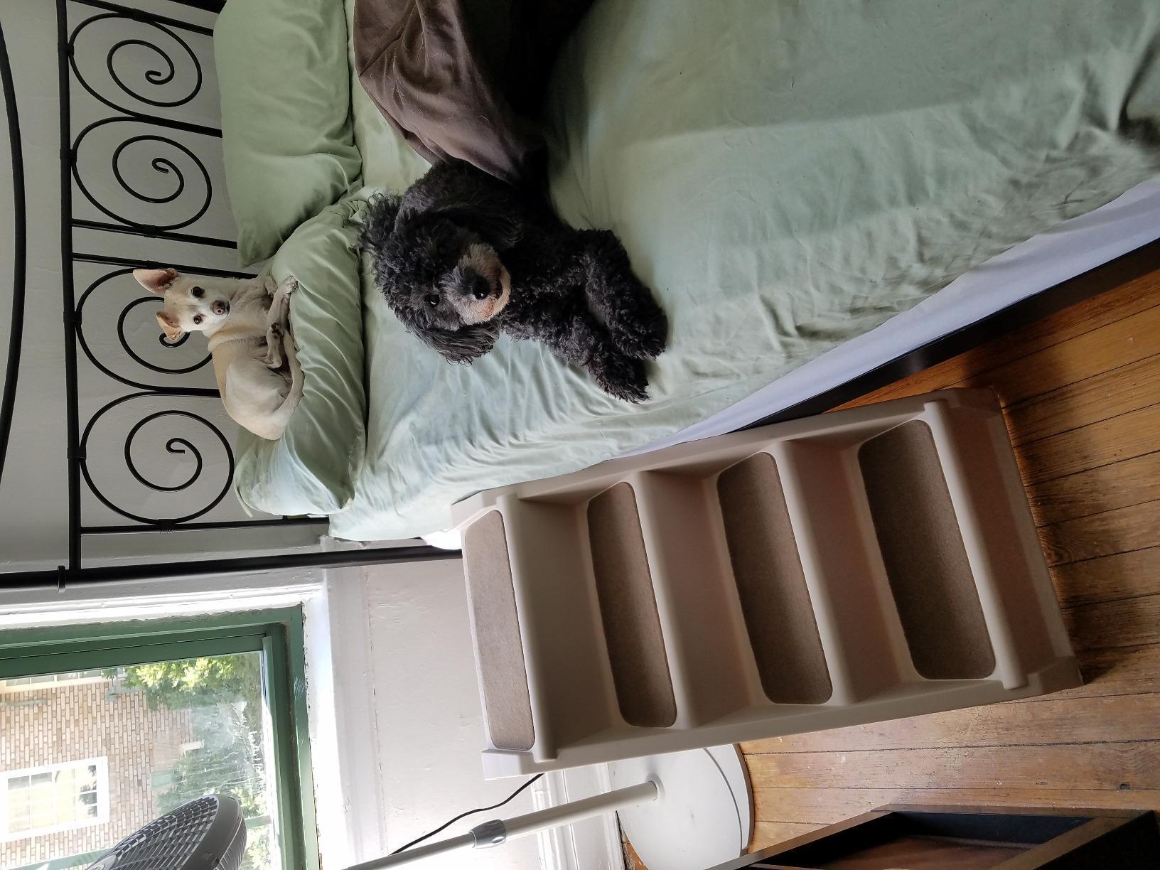 PetSafe CozyUp Folding Dog Stairs, 20 in Tall, Gray customer photo 1
