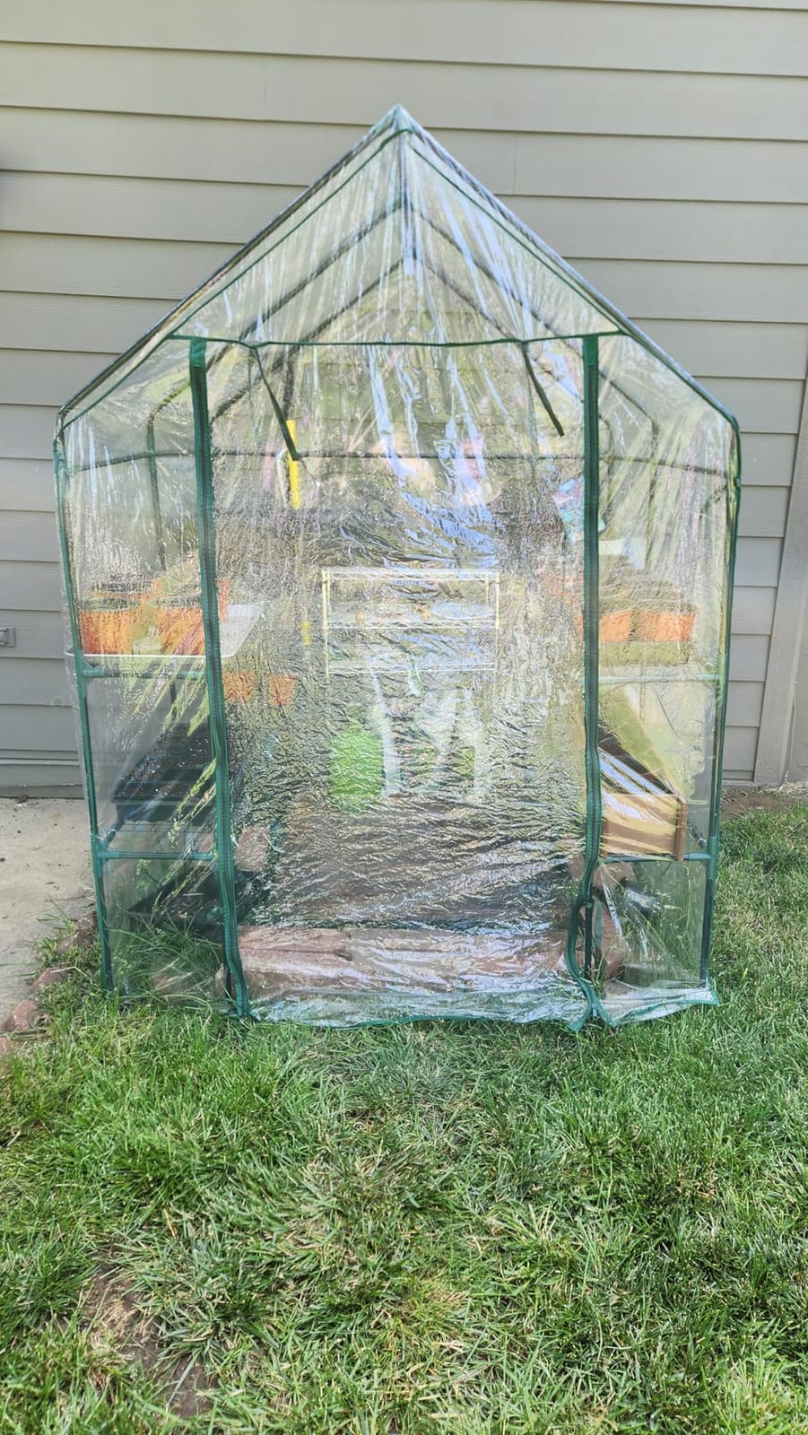 Greenhouse - Walk in Greenhouse with 8 Sturdy Shelves and PVC Cover for Indoor or Outdoor Use - 56 x 56 x 76-Inch Green House by Pure Garden customer photo 2