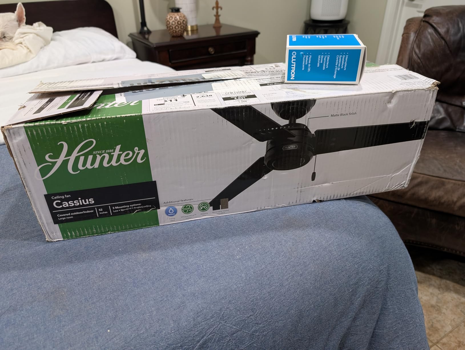 Hunter Cassius, Outdoor or Indoor, Ceiling Fan, 44 inch, Matte Black customer photo 2
