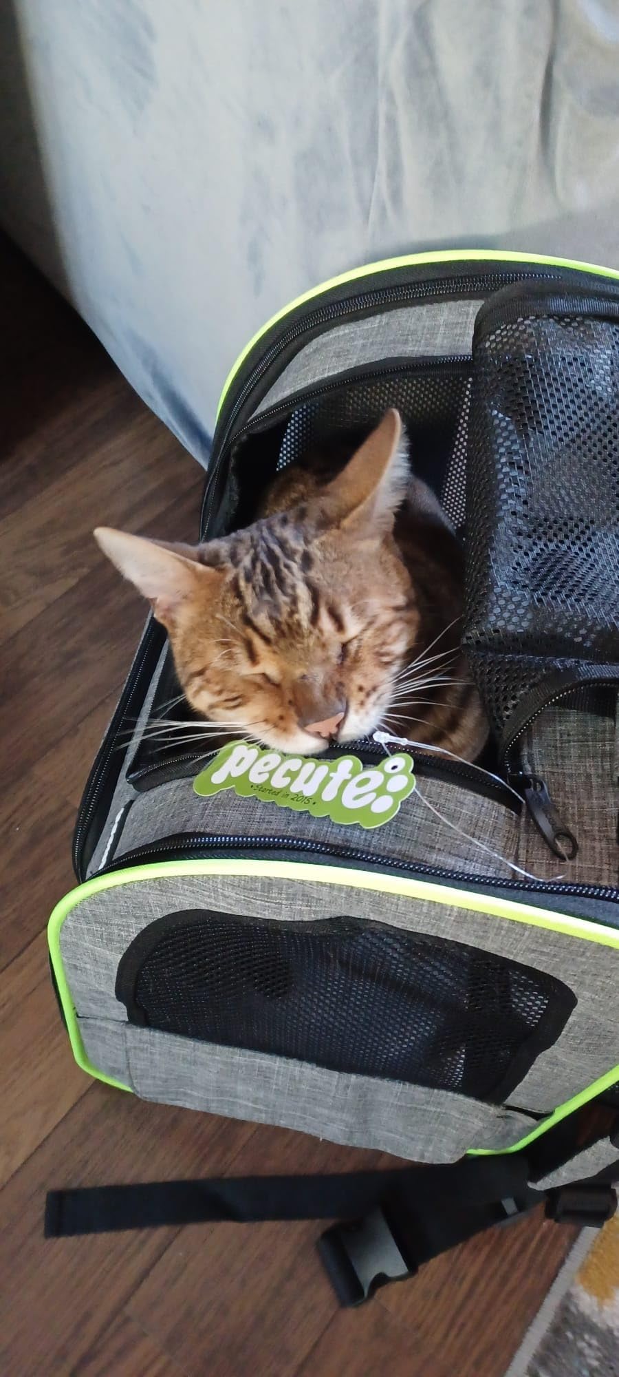 pecute Cat Backpack Expandable, Cat Carrier Backpack with Breathable Window customer photo 2