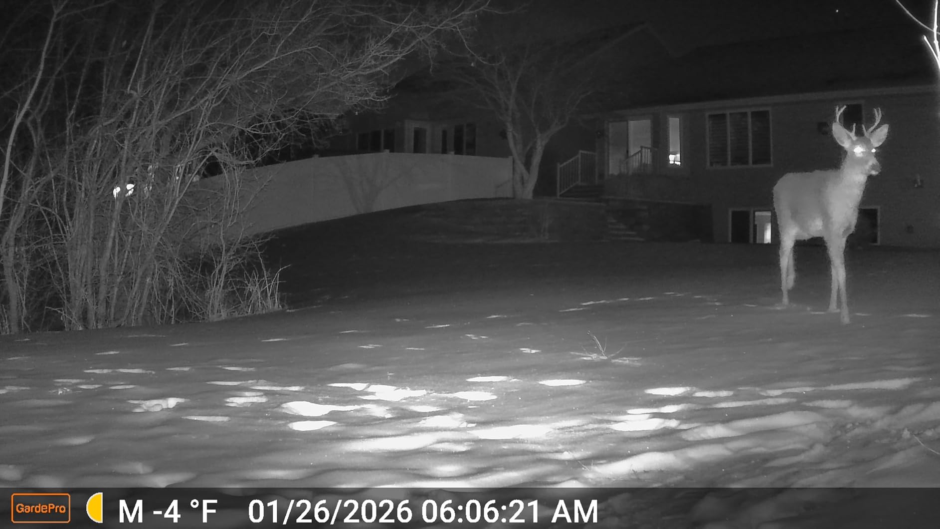 GardePro A3S Non-Cellular Trail Camera, 1296P HD Video with Sound customer photo 2