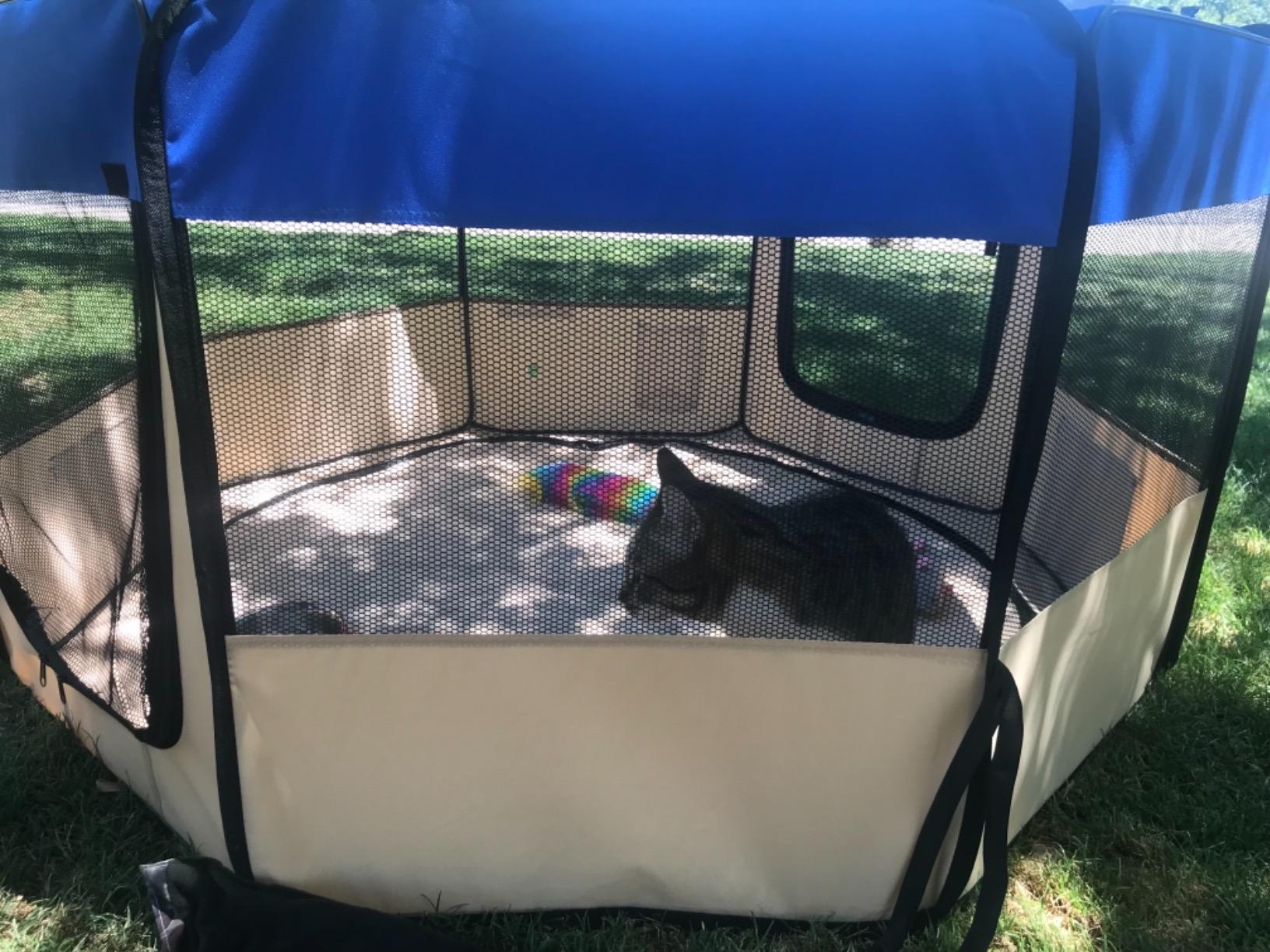 Jespet Soft Dog Playpen, Portable Pet Exercise Pen Kennel with Carry Bag customer photo 1