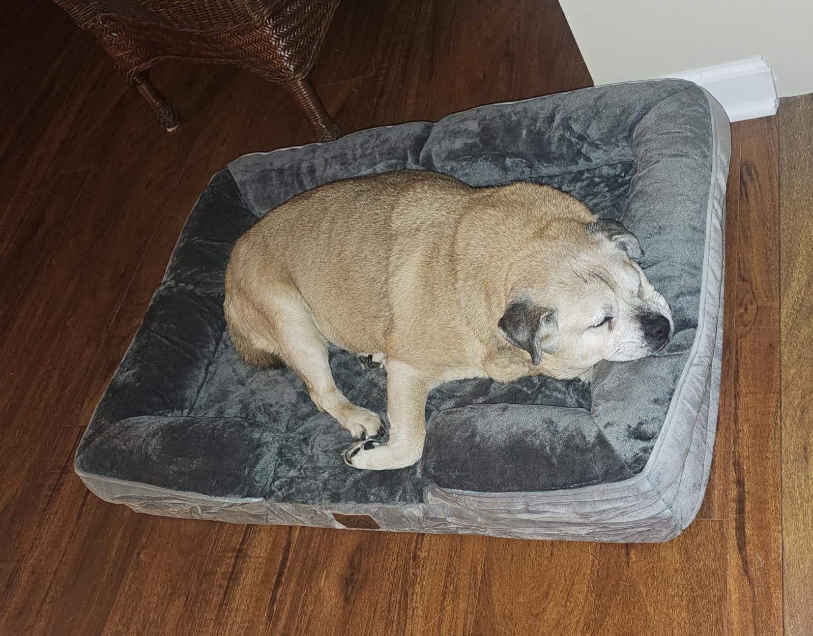 Bedsure Orthopedic Dog Beds Large Sized Dog Washable Original Design customer photo 1