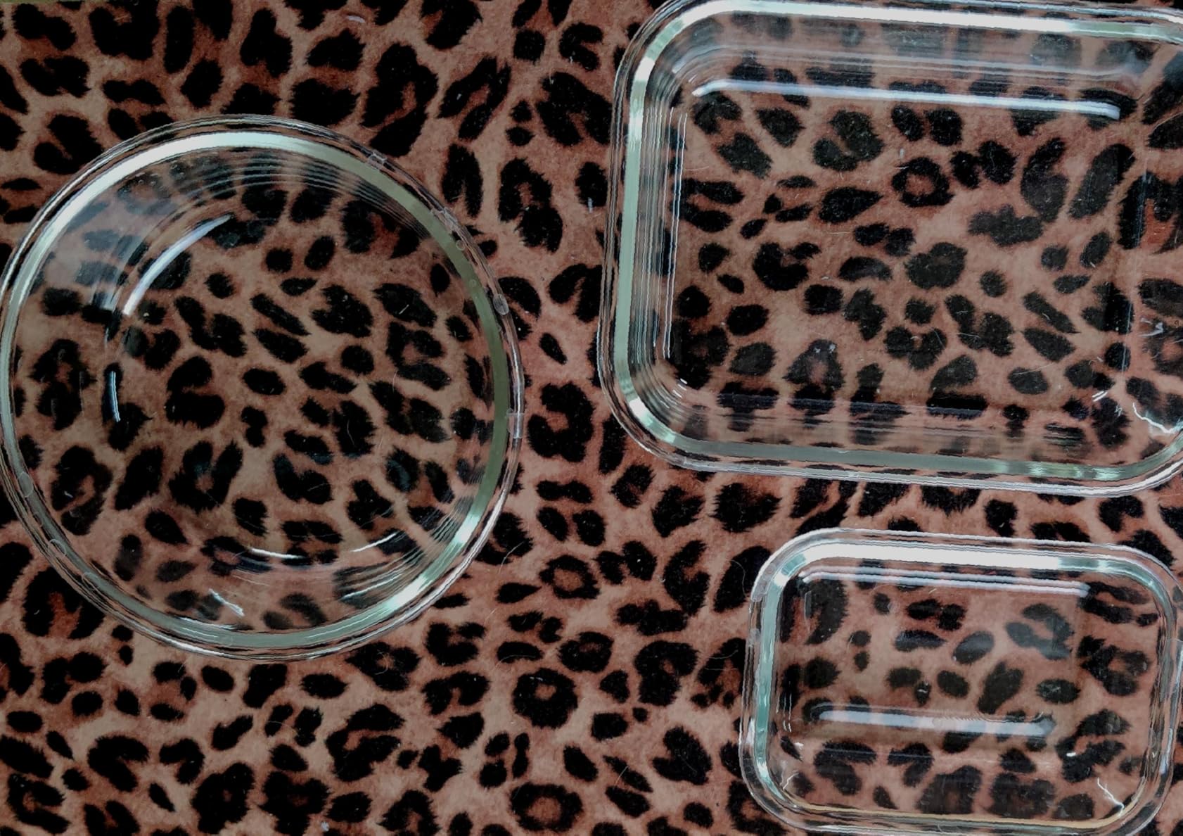 Amazon Basics Glass Food Storage Containers, Leak Proof, Oven Safe, Easy to Clean, Stain Resistant, Set of 7, 14 Pieces Including Lids, BPA-Free, Clear with Blue Silicone Ring customer photo 1
