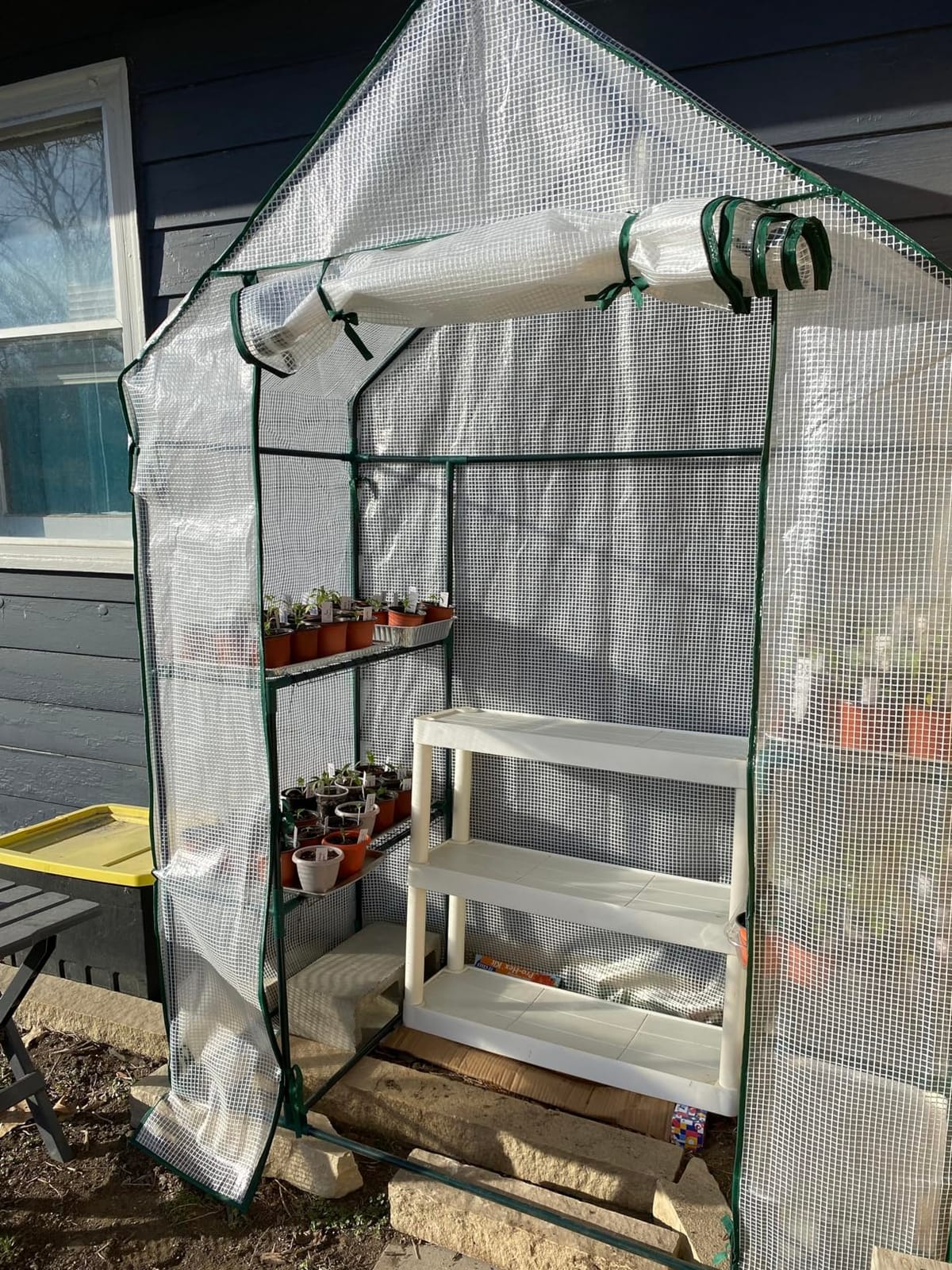 56x30x76 Portable Walk-in Greenhouse for Outdoors, Plant House with Shelves customer photo 2