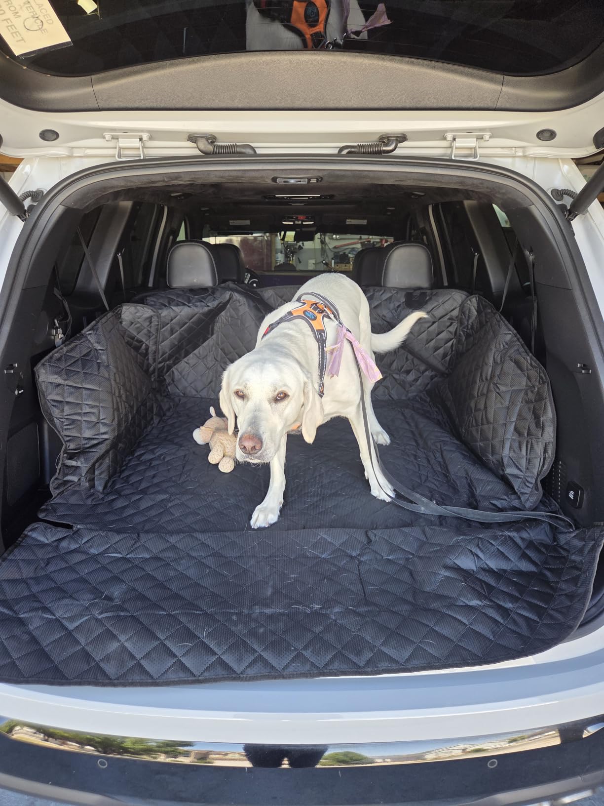 PETICON SUV Cargo Liner for Dogs, Trunk Cover with Bumper Flap Protector customer photo 1