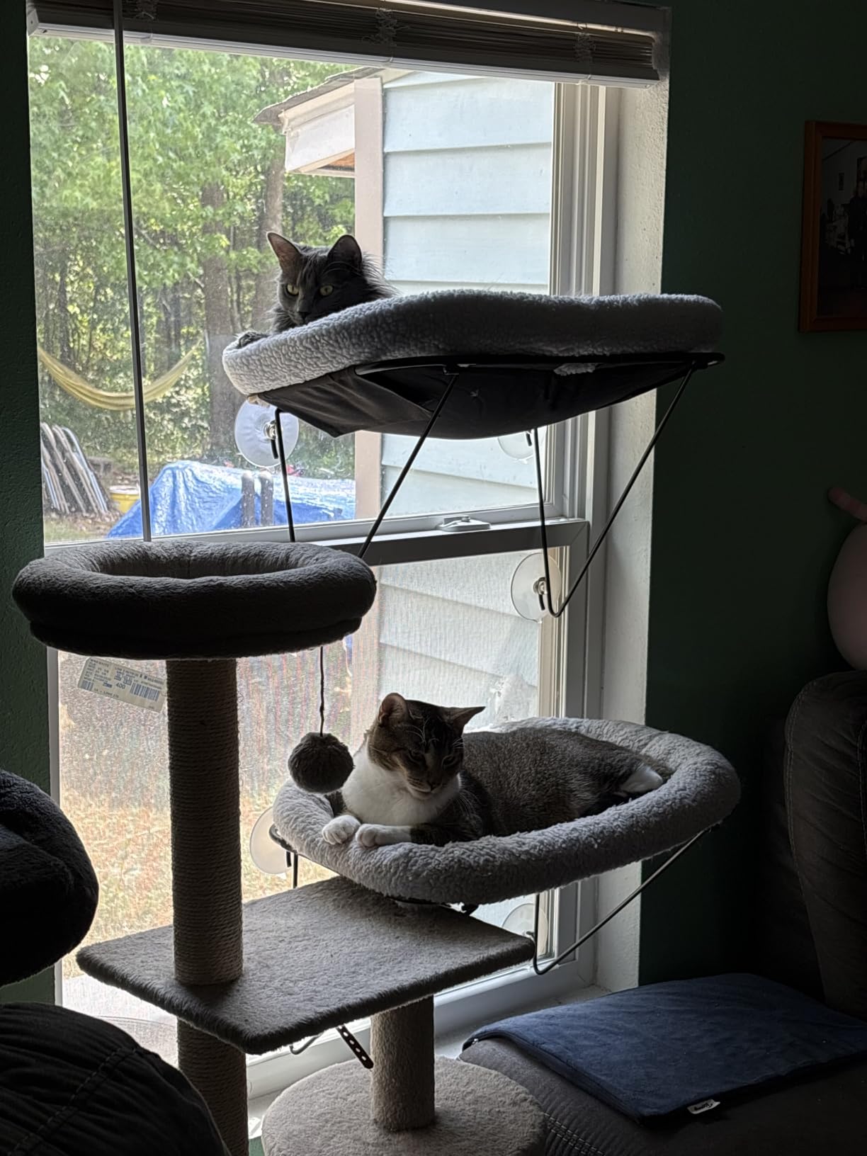 Zakkart Cat Window Perch, 100% Metal Supported from Below (White) customer photo 2