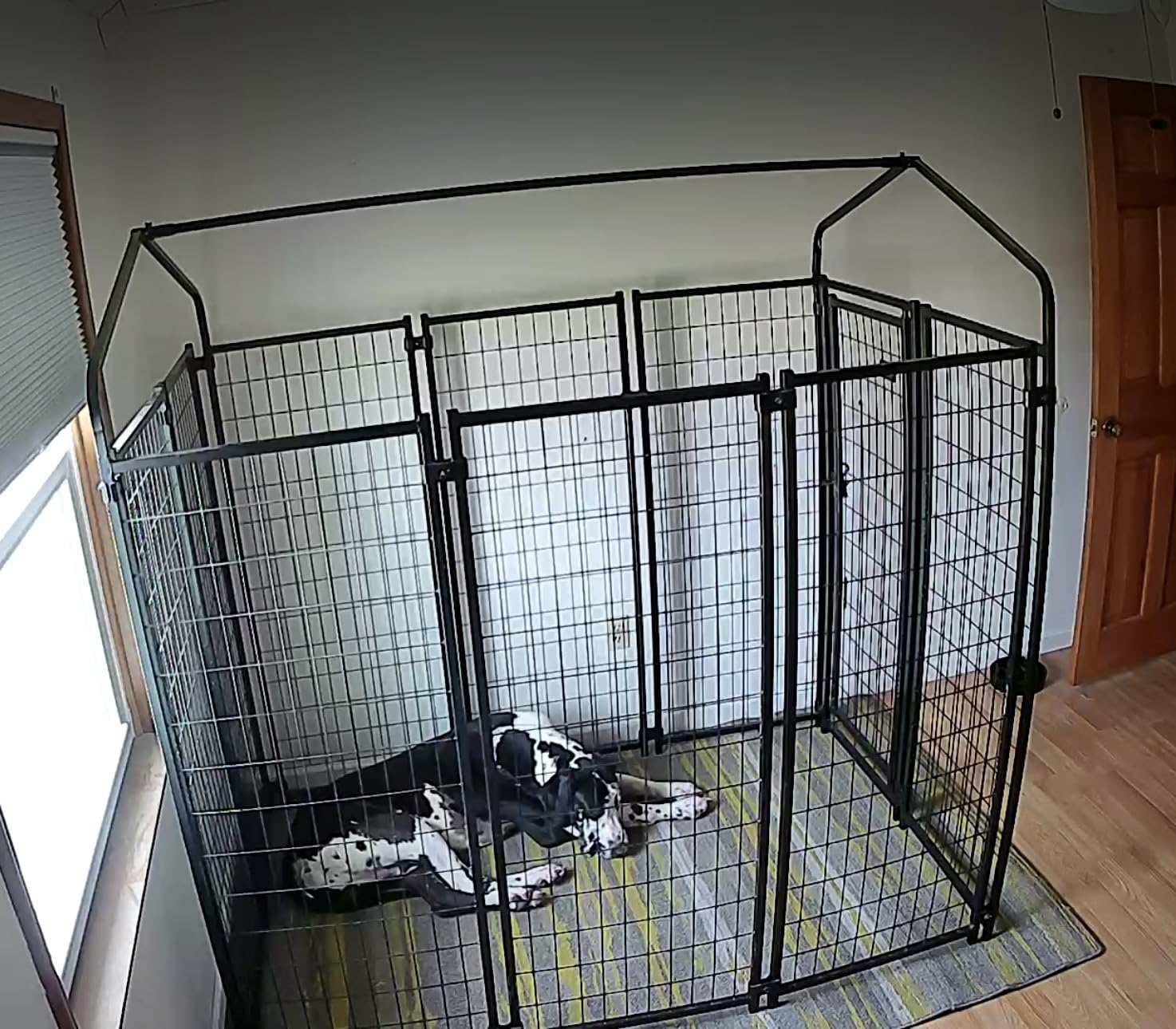 PawHut Outdoor Dog Kennel with Roof, 6' x 4' x 6' Heavy Duty Welded Wire Dog Playpen Enclosure with Escape-Proof Lock, UV-Resistant & Waterproof Cover, for Large Dogs, Chickens, Ducks, Silver customer photo 1
