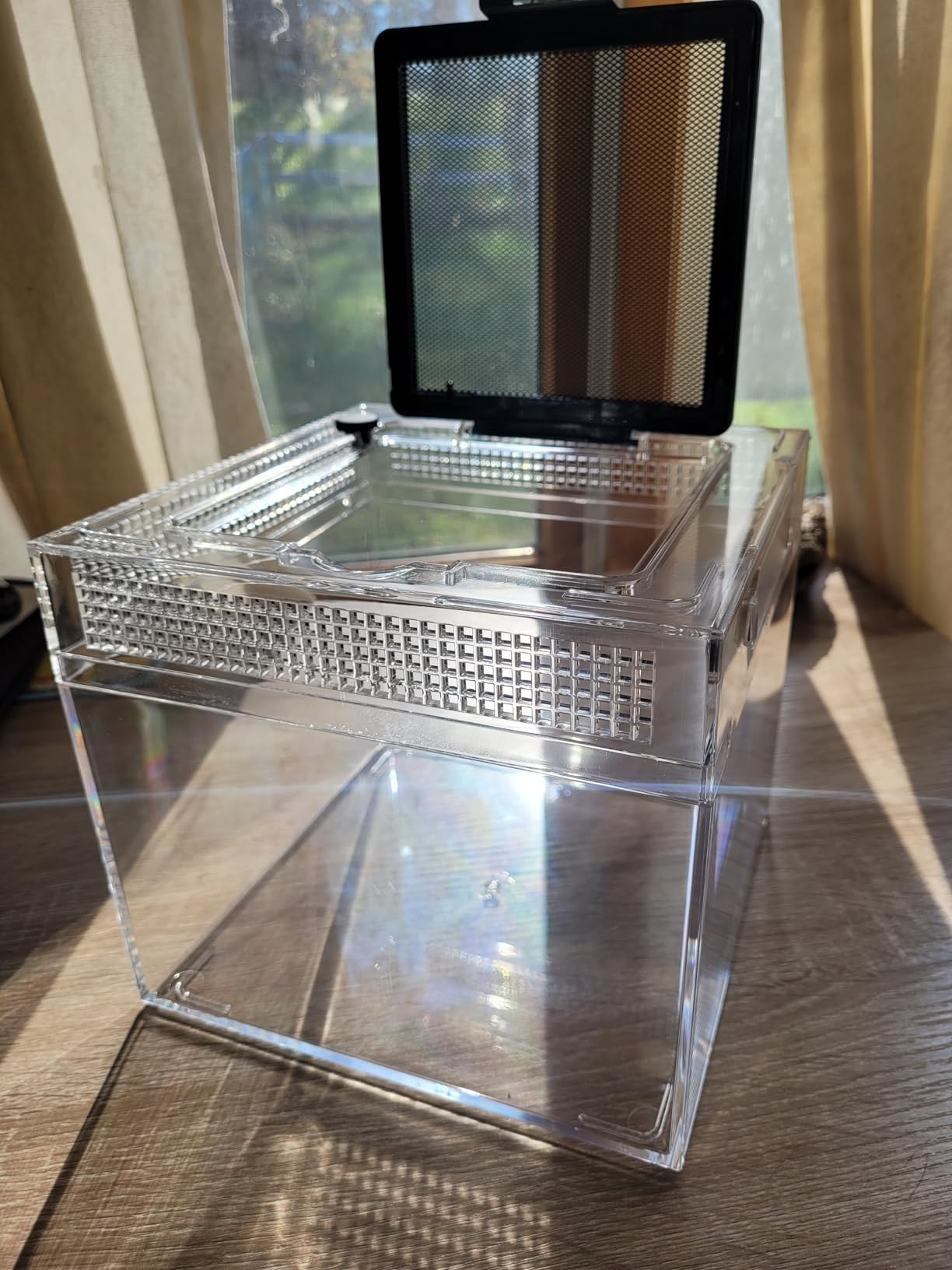 Reptile Growth Mini Reptile Terrarium,12
