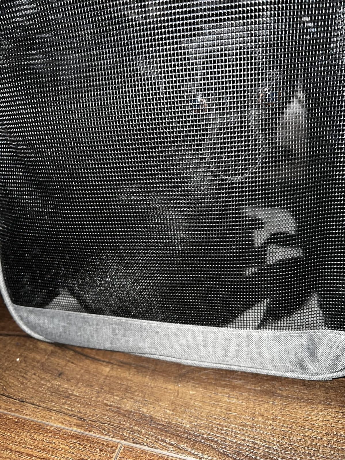 BurgeonNest Cat Carrier for Cats up to 20 Lbs, Soft-Sided Escape Proof customer photo 1