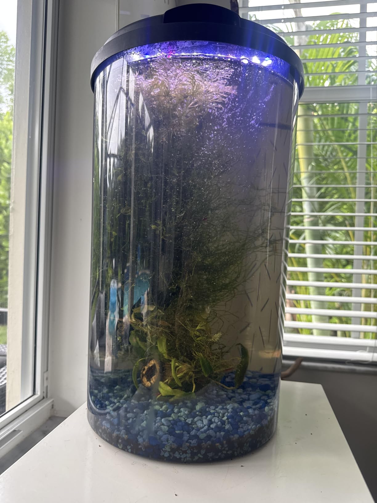 Koller Products Plastic 6-Gallon AquaView 360 Aquarium Kit for Tropical Fish, Betta Fish with LED Lighting and Power Filter Clear, 4-Piece Set customer photo 1