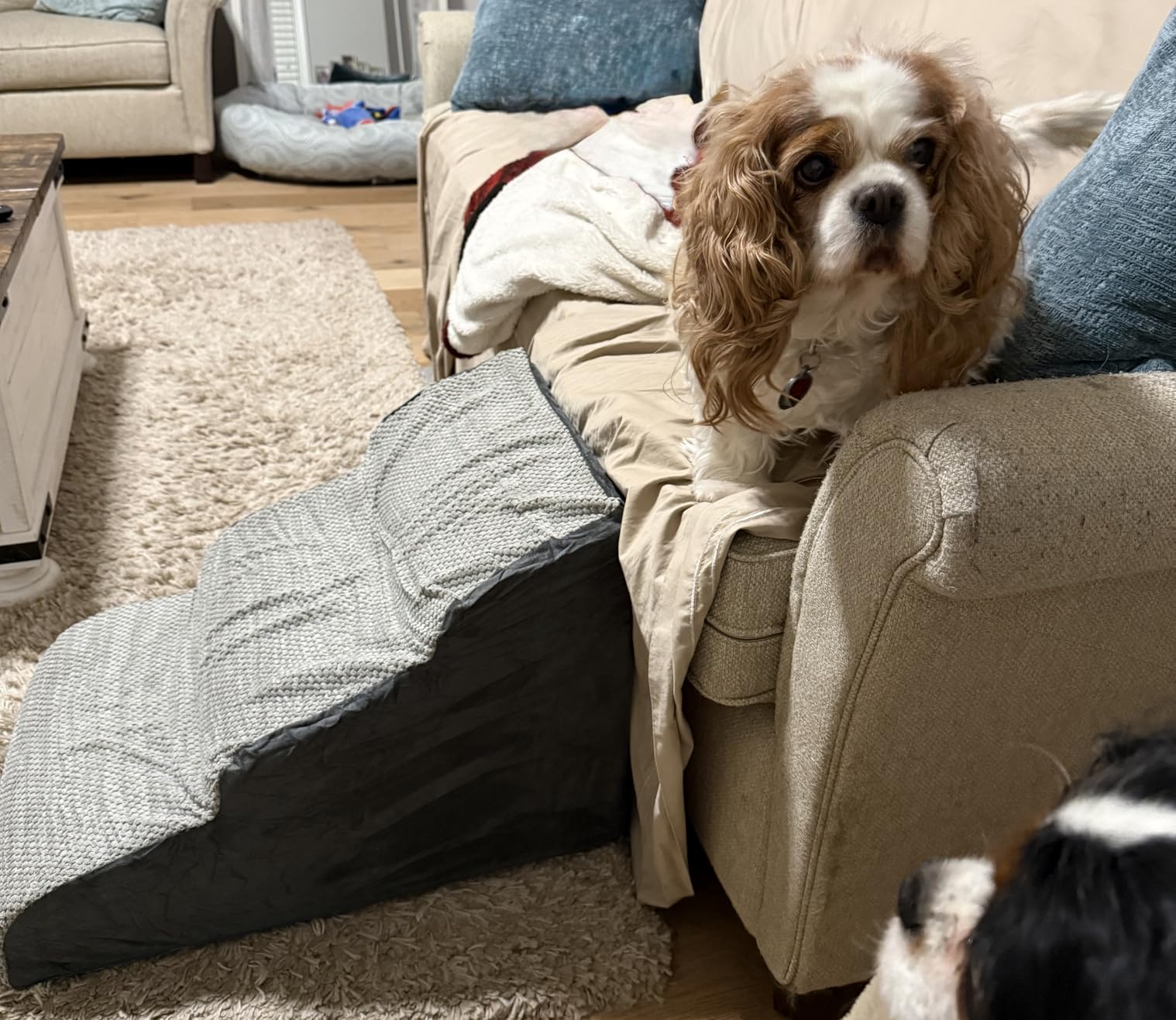 MEJYJEM 3 Steps High Density Foam Dog Stairs Ramps,Non-Slip Pet Steps for Older Dogs,Pet with Joint Pain, Sofa Bed Ladder for Cats customer photo 2