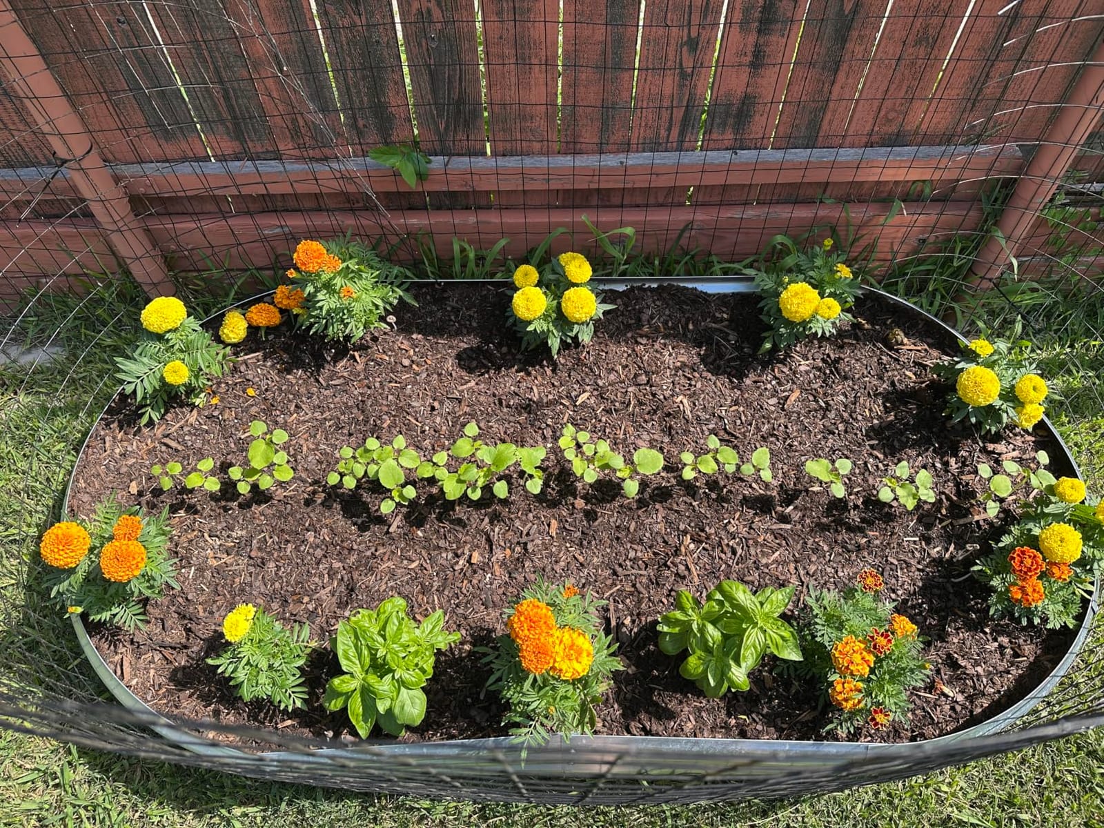 Land Guard Galvanized Raised Garden Bed Kit, Galvanized Planter Garden Boxes Outdoor, Oval Large Metal Raised Garden Beds for Vegetables………… customer photo 1