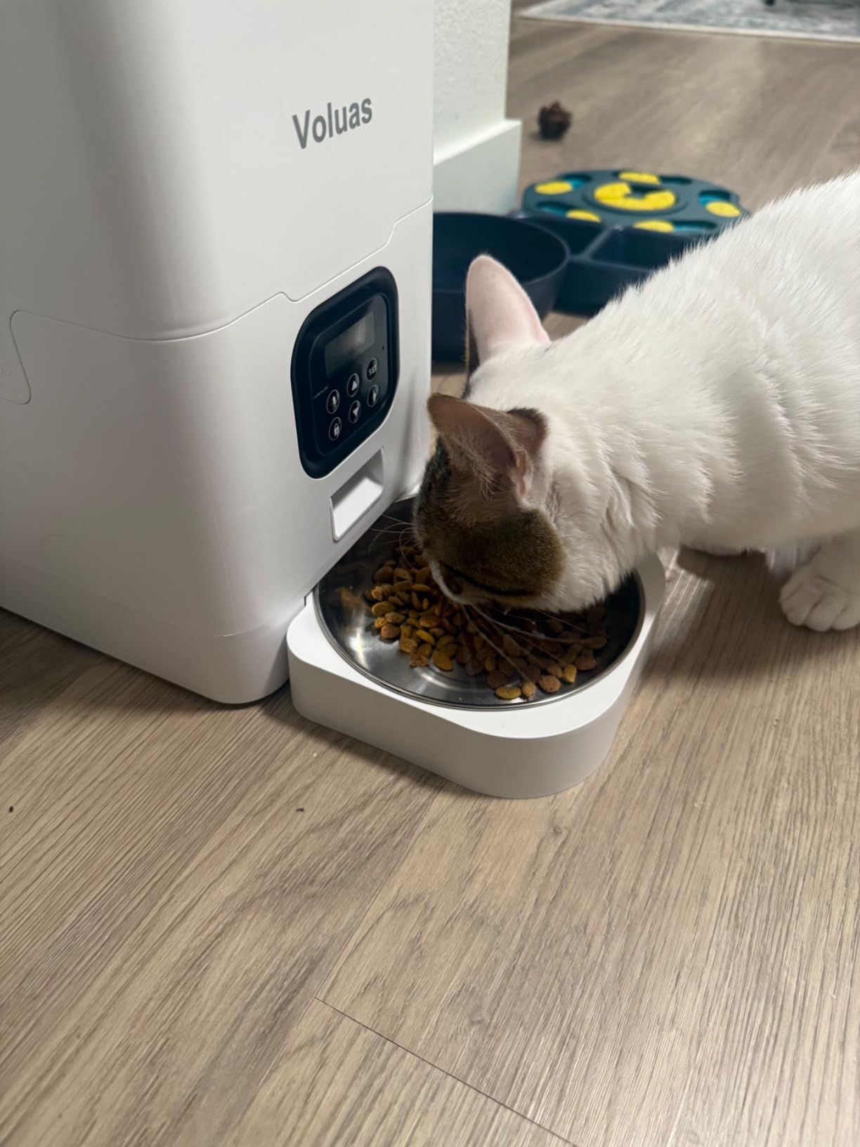VOLUAS Automatic Cat Feeder, 4L Timed Dry Food Dispenser for Cats & Dogs customer photo 2