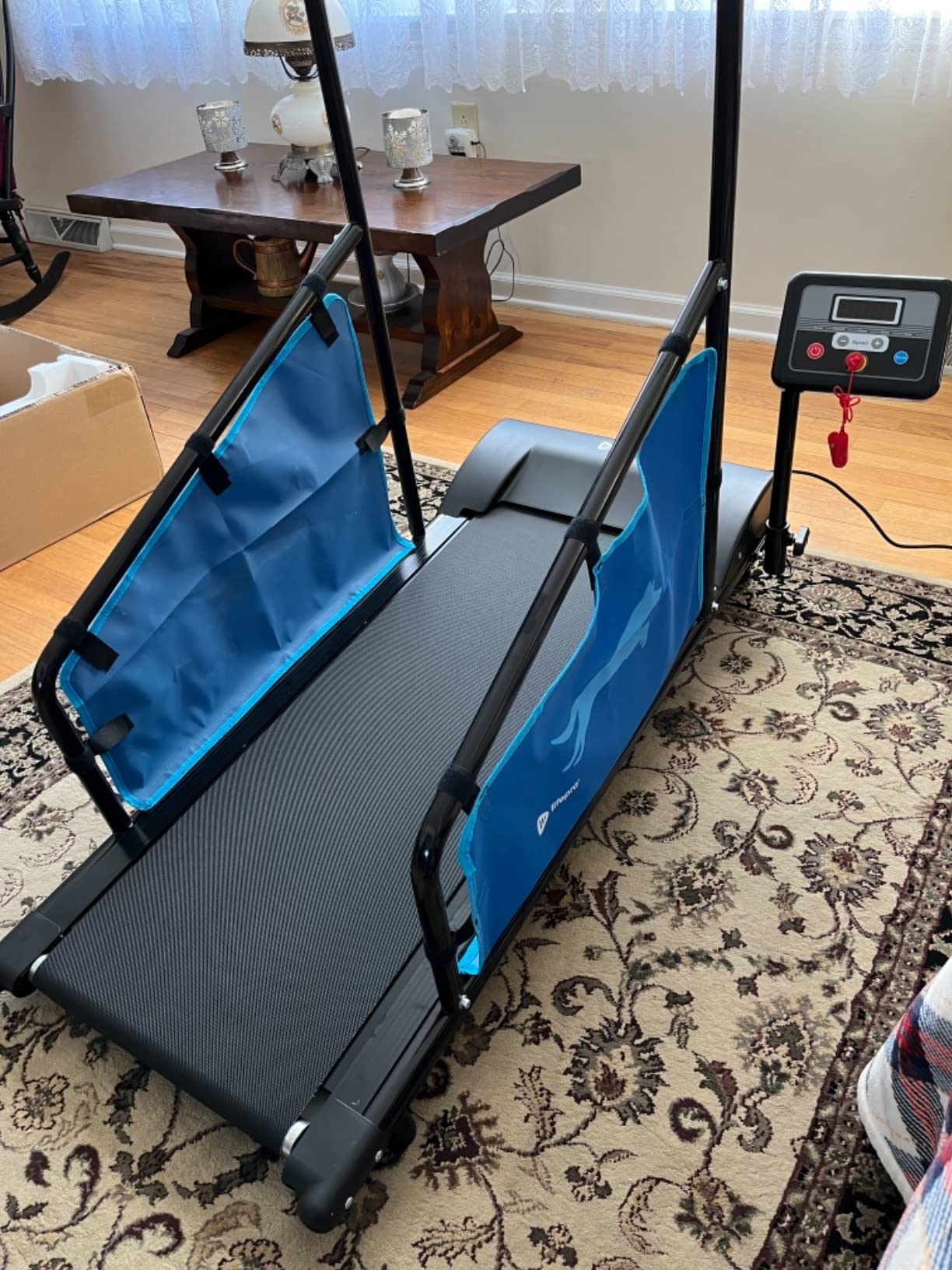 Lifepro PawRunner Dog Treadmill for Small & Medium Dogs, Remote Control customer photo 1