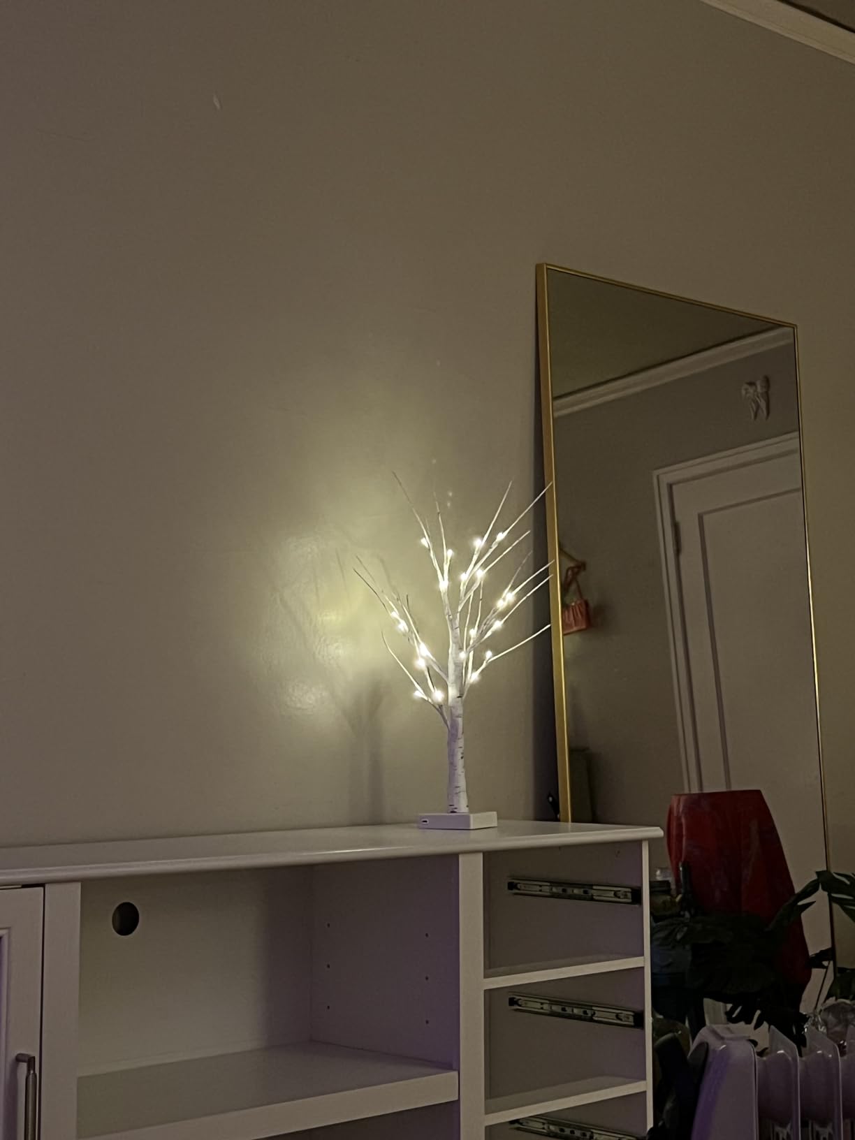 EAMBRITE Home Decorations Light Up White Birch Tree Indoor Christmas Decor, 4 Pack Battery Operated/USB Lighted Tabletop Money Tree Lamp Led Lights Xmas Wedding Centerpiece Table Room (2 Ft) customer photo 1