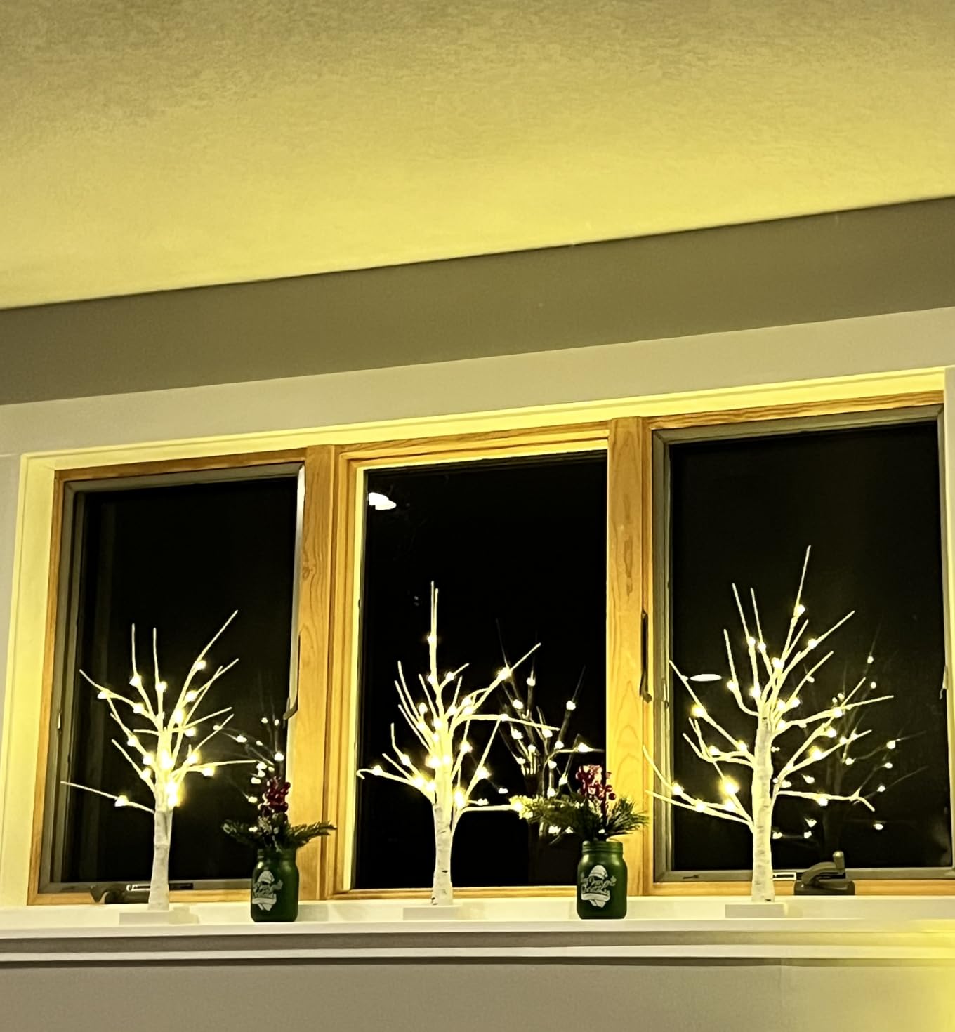 EAMBRITE Home Decorations Light Up White Birch Tree Indoor Christmas Decor, 4 Pack Battery Operated/USB Lighted Tabletop Money Tree Lamp Led Lights Xmas Wedding Centerpiece Table Room (2 Ft) customer photo 2