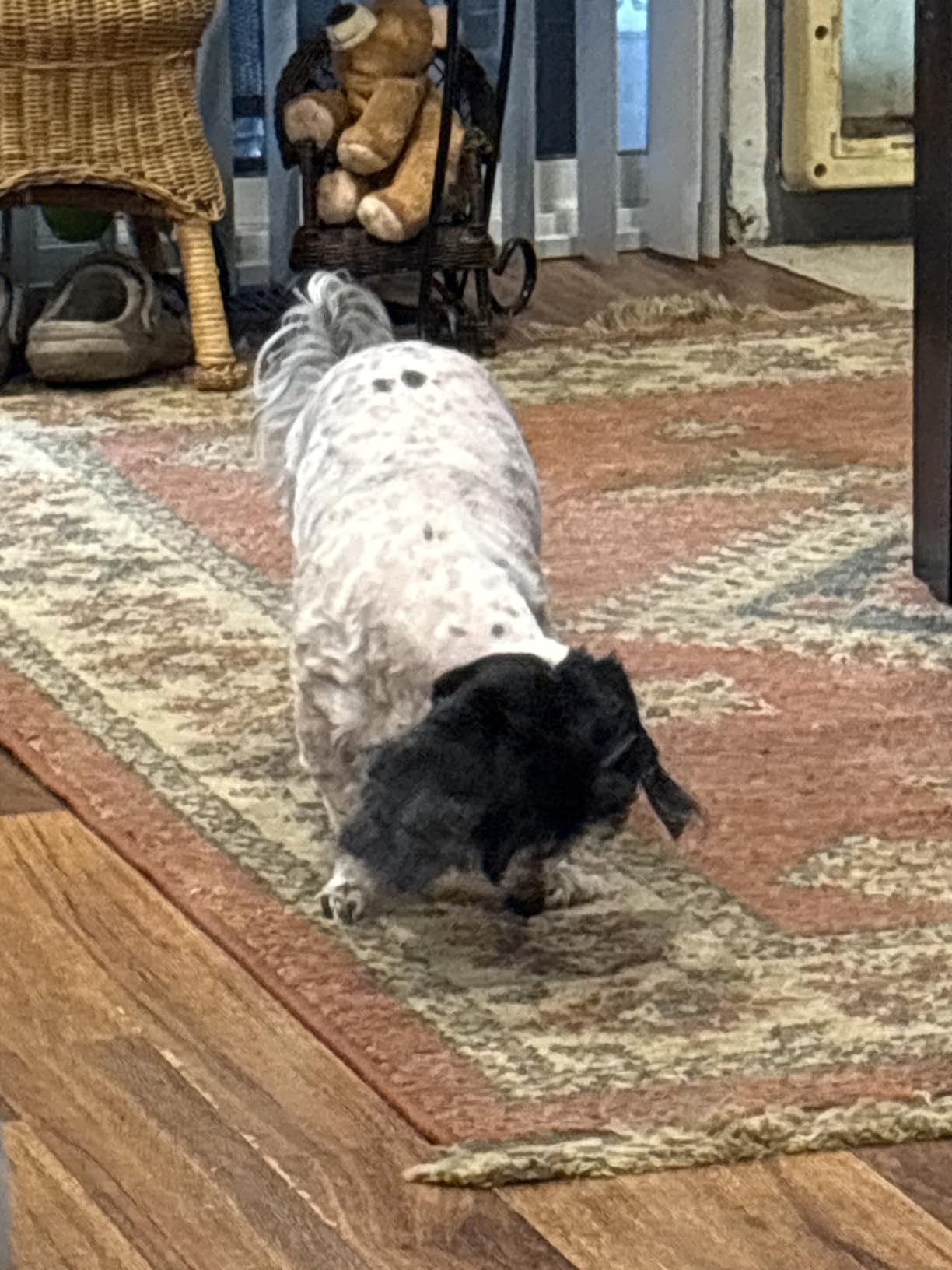 oneisall Dog Clippers for Grooming Thick Heavy Coats customer photo 2