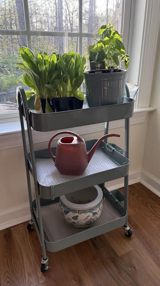 danpinera 3-Tier Rolling Cart, Utility Cart Mobile Metal Rolling Storage Cart with Lockable Wheels & Hanging Cups & Hooks for Kitchen, Bathroom, Office, Workshop, Green customer photo 2