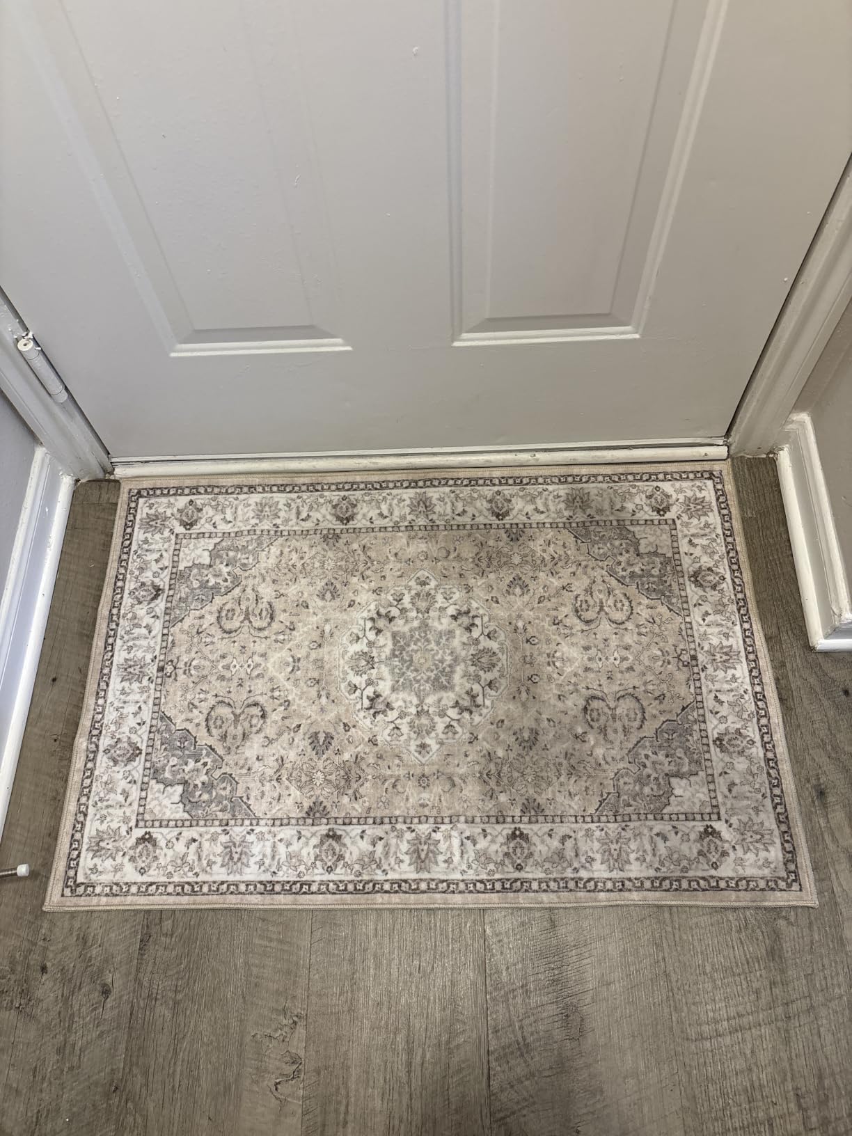 Hallway Washable Runner Rug - 2x7 Kitchen Rugs Entryway Rug Runner Vintage Soft Floor Mat Non Slip Indoor Farmhouse Carpet for Bathroom Living Room Bedroom (2 X 7, Beige) customer photo 1