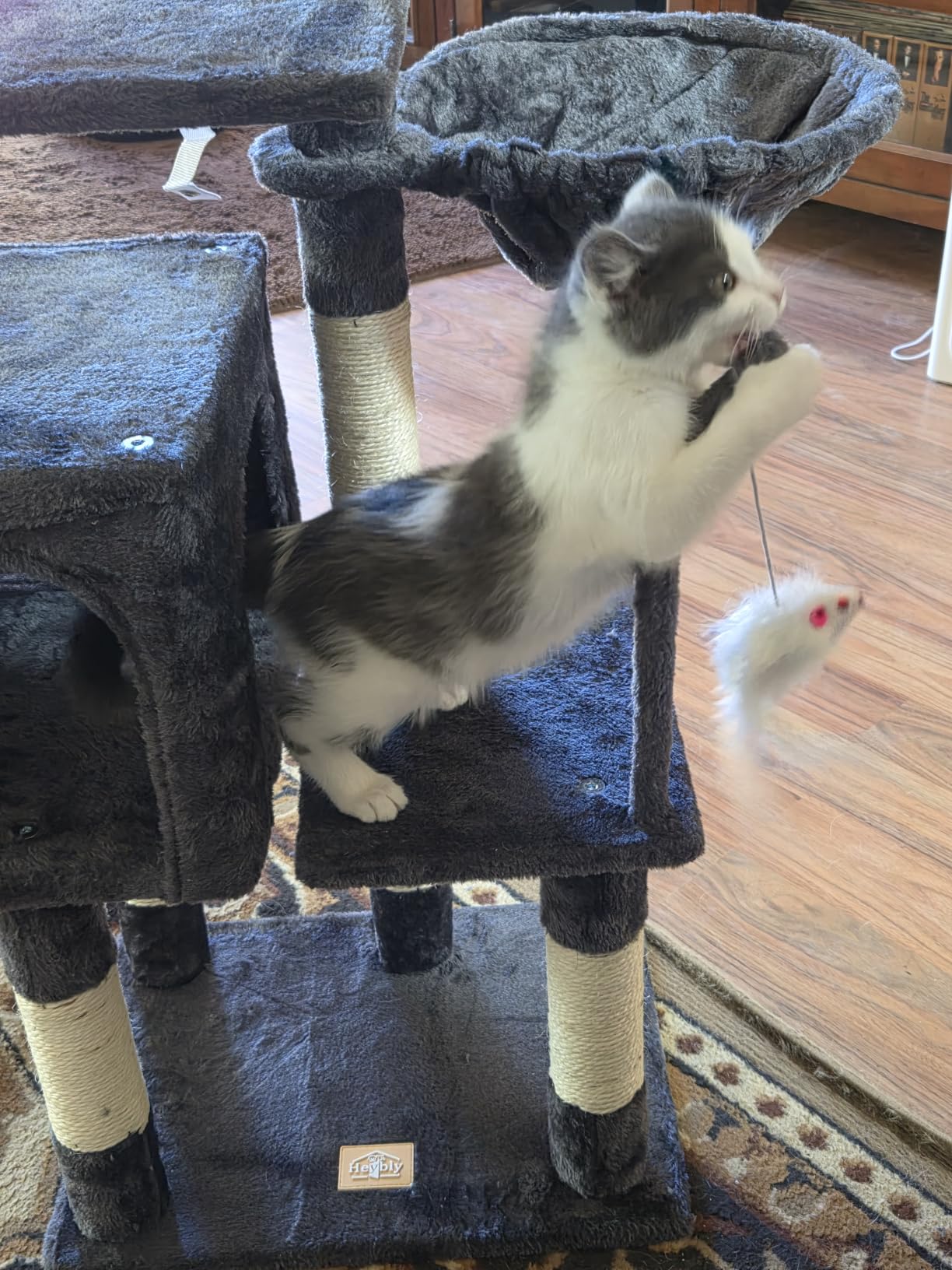 Heybly Cat Tree with Toy, 43.3 inch Cat Tower for Indoor Cats HCT004SW customer photo 1