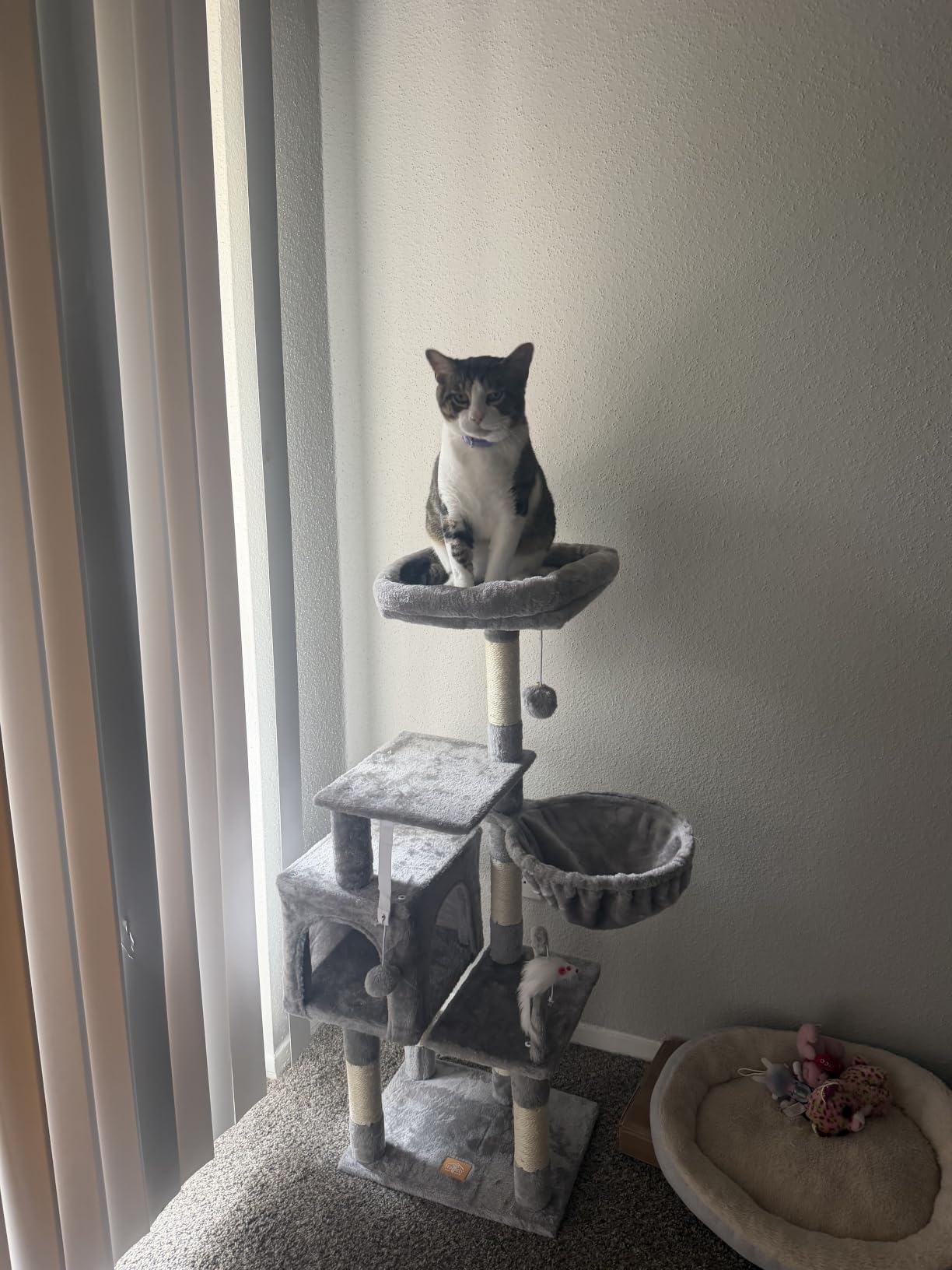 Heybly Cat Tree with Toy, 43.3 inch Cat Tower for Indoor Cats HCT004SW customer photo 2