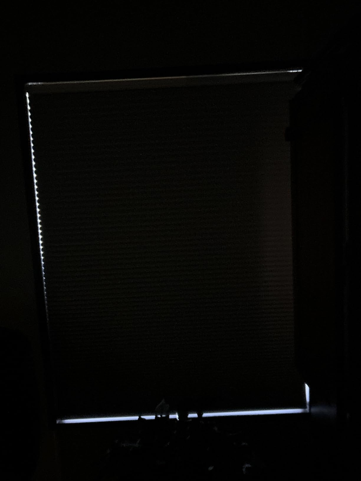 Changshade Cordless Cellular Shades,Light Filtering Honeycomb Shades for Windows,Pull Down Pleated Blinds,Easy to Install for Indoor Windows and French Doors,White,Custom Size customer photo 2