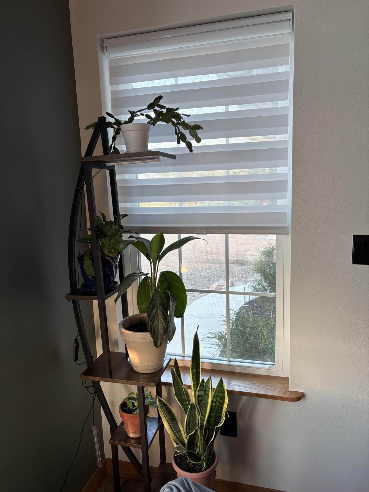 Persilux Cordless Zebra Blinds for Windows Free-Stop Roller Window Shades (22