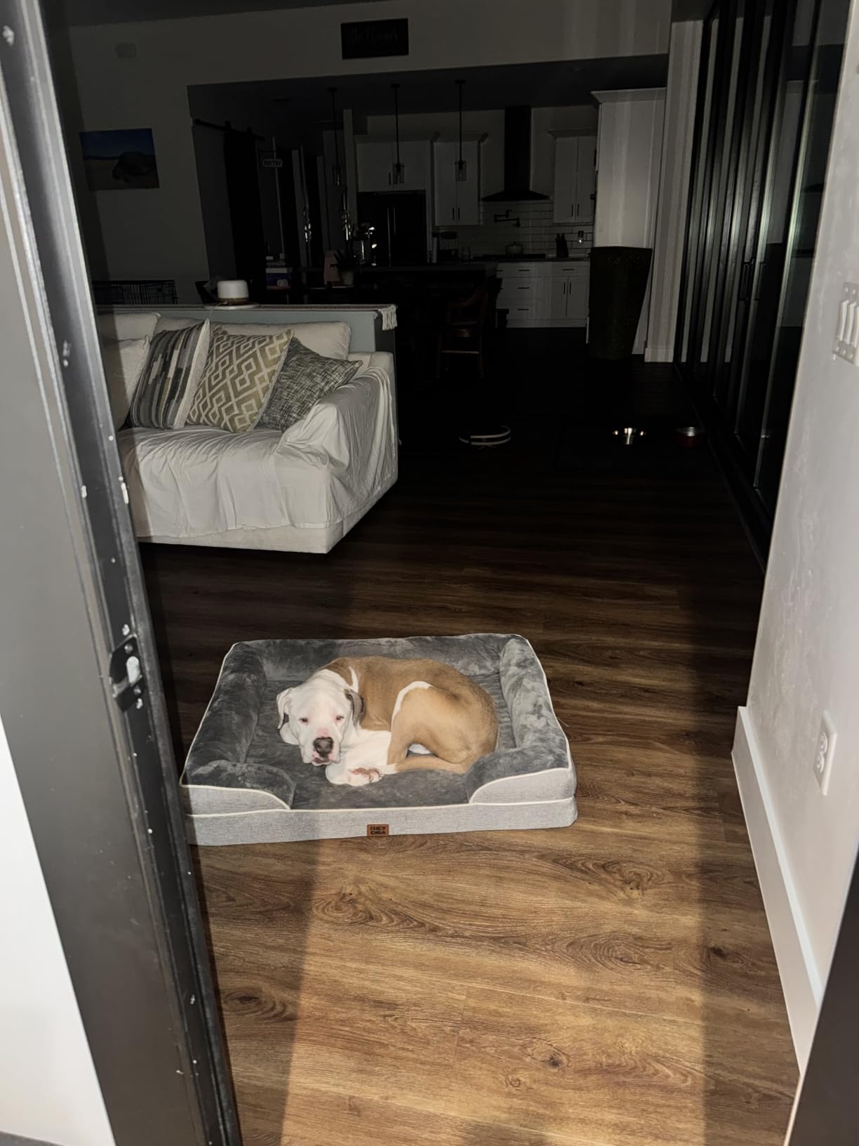 EHEYCIGA Orthopedic Dog Beds Large Sized Dog, Waterproof Memory Foam Pet Bed with Sides, Non-Slip Bottom Large Pet Bed with Washable Removable Cover, Grey | Non-Slip Bottom and Egg-Crate Memory Foam XL Dog Couch Bed with Washable Removable Cover, Grey customer photo 2