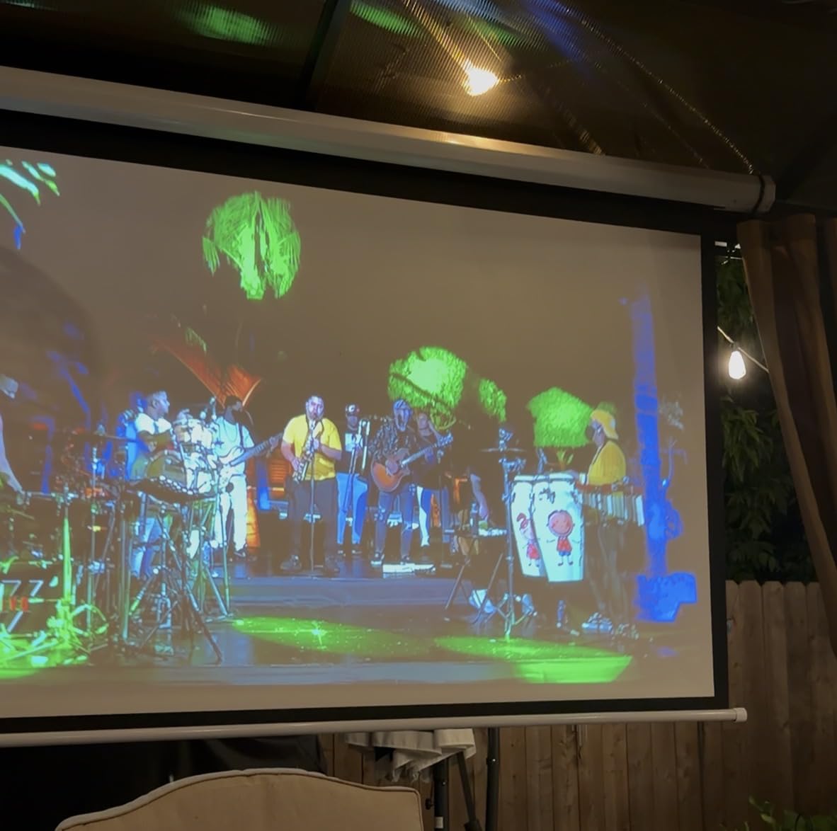 DINAH 120 Inch Electric Projector Screen with Remote customer photo 1