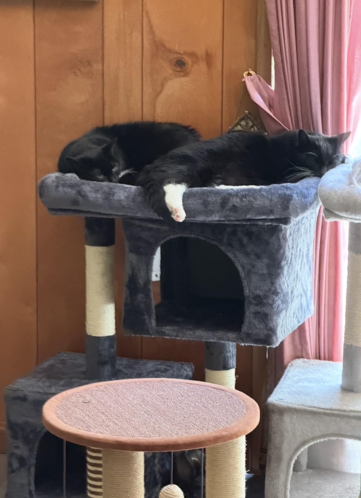 Feandrea Cat Tree, 26.4-Inch Small Cat Tower, Cute Plush Condo, Light Gray customer photo 1
