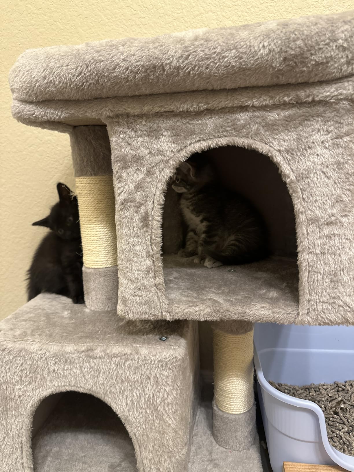 Feandrea Cat Tree, 26.4-Inch Small Cat Tower, Cute Plush Condo, Light Gray customer photo 2