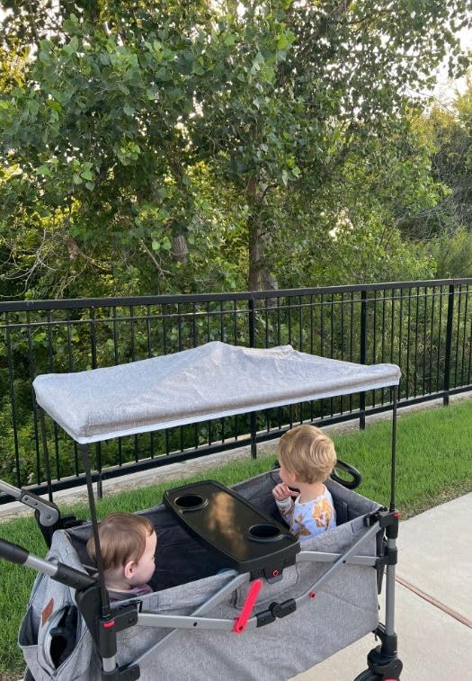 EVER ADVANCED Foldable Wagons for Two Kids & Cargo, Collapsible Folding Wagon Stroller with Adjustable Handle Bar,Removable Canopy with 5-Point Harness,Black customer photo 1