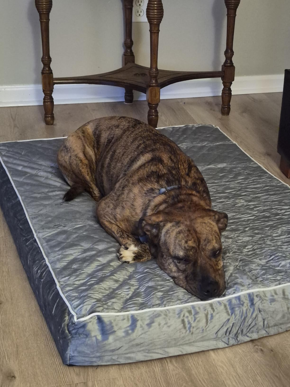 WNPETHOME Orthopedic Waterproof Extra Large Senior Dogs Bed for Comfy Sleep | XL Washable Ped Bed with Removable Cover, Multi-Needle Quilting XL Crate Bed for Large Sized Dog Relax, Light Grey 42x30 Inch customer photo 1