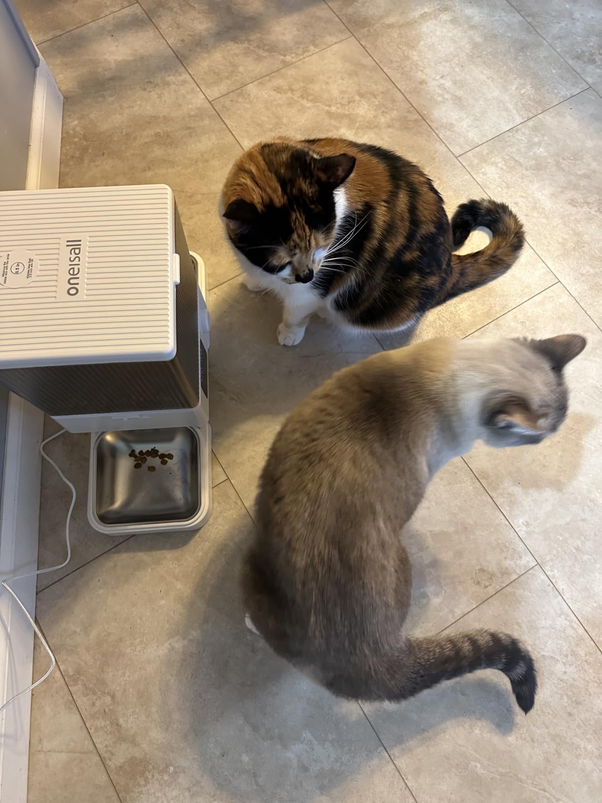 oneisall Automatic Cat Feeder for 2 Cats Pets, Timed Cat Food Dispenser customer photo 1