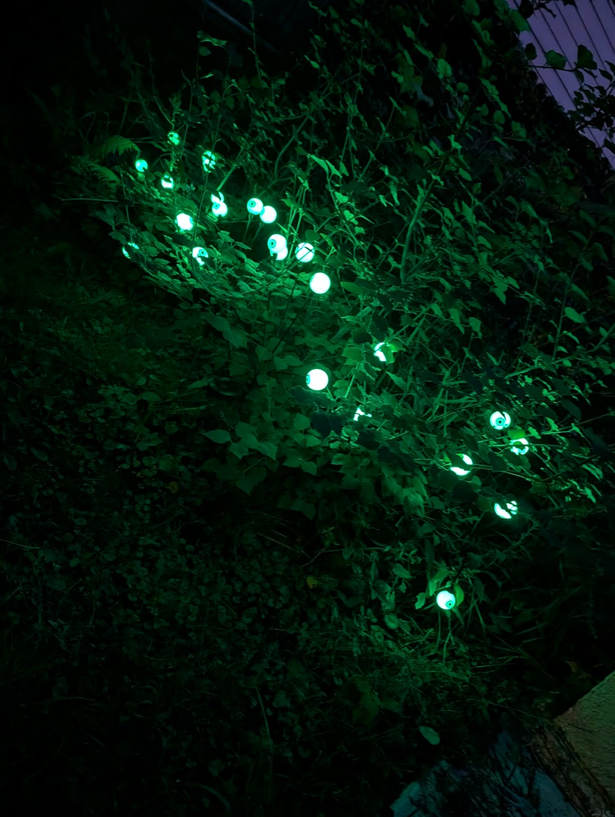 BeHiller Halloween Decorations Outdoor Solar Scary Eyeball Lights,2PACKS 12LED Green Eyeball Swaying Firefly Lights,Waterproof Solar Halloween Path Lights for Yard/Garden/Lawn/Party Decor customer photo 2