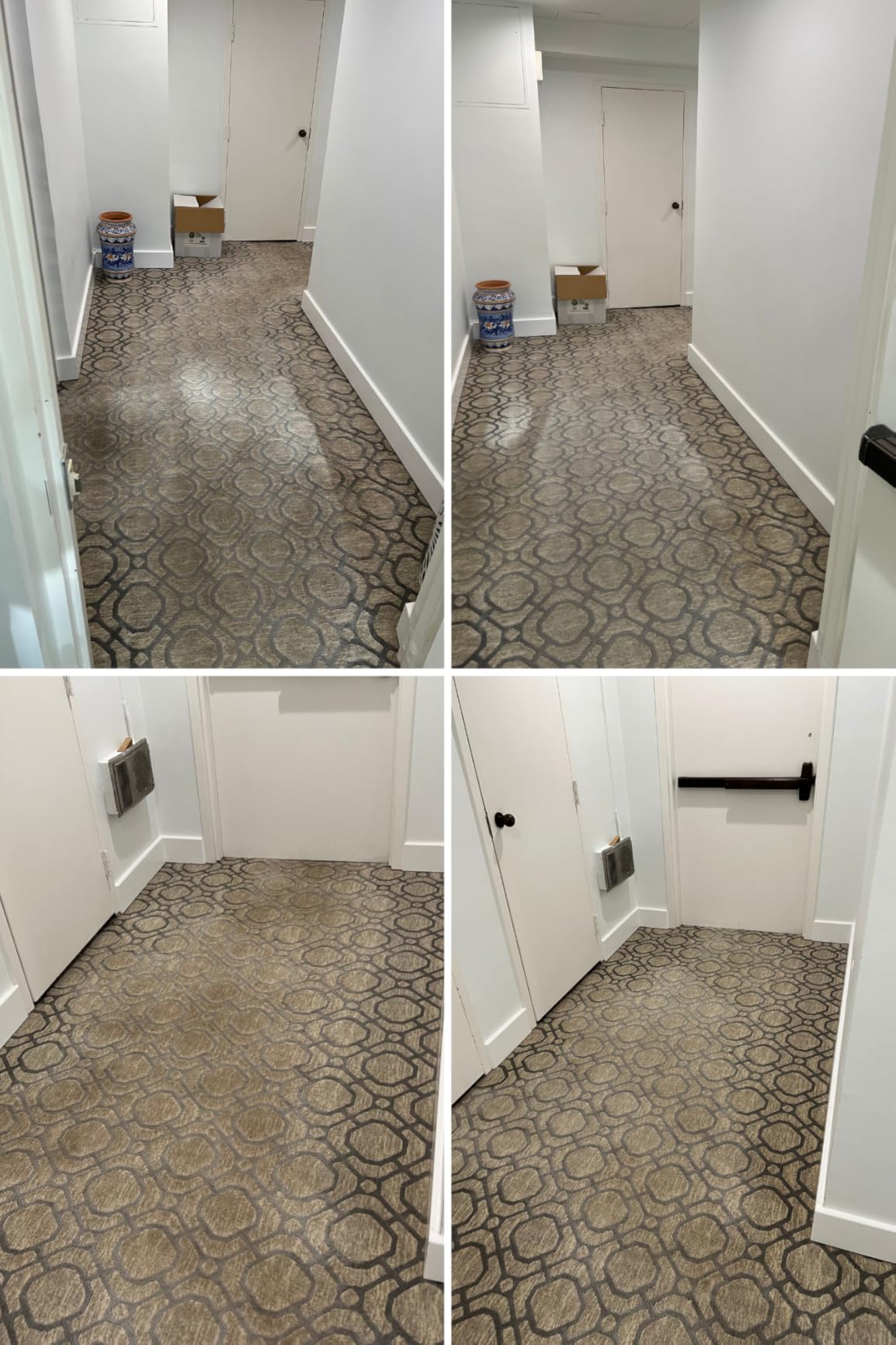 Shark CarpetXpert StainStriker Carpet & Upholstery Cleaner, 3 Tools, EX201 customer photo 1
