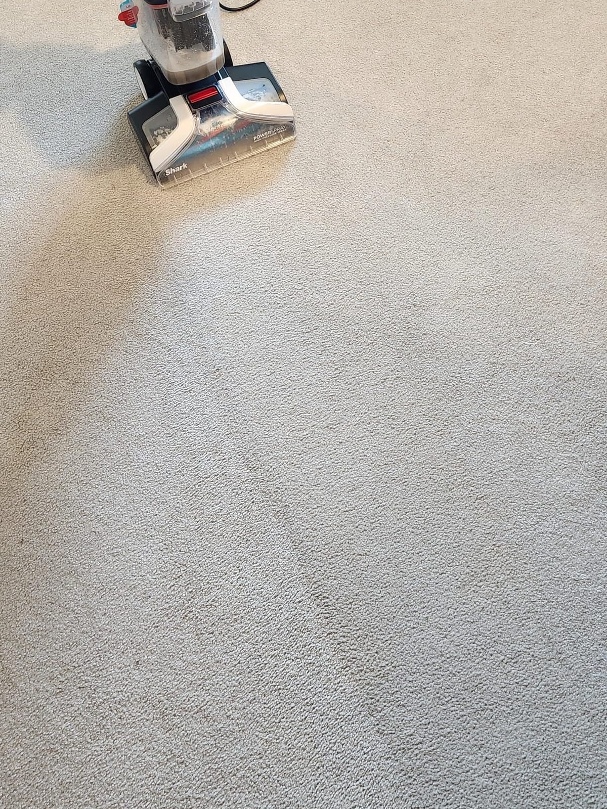 Shark CarpetXpert StainStriker Carpet & Upholstery Cleaner, 3 Tools, EX201 customer photo 2