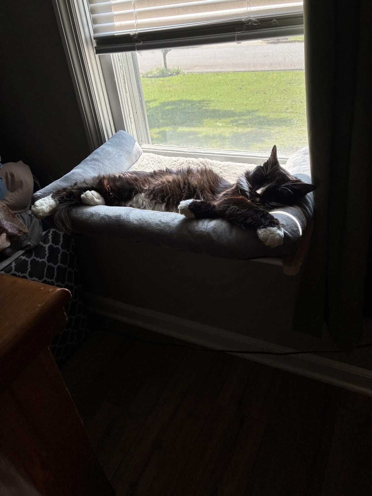 Zakkart Cat Perch for Windowsill with Bolsters (Dark Stained/Gray, L) customer photo 2