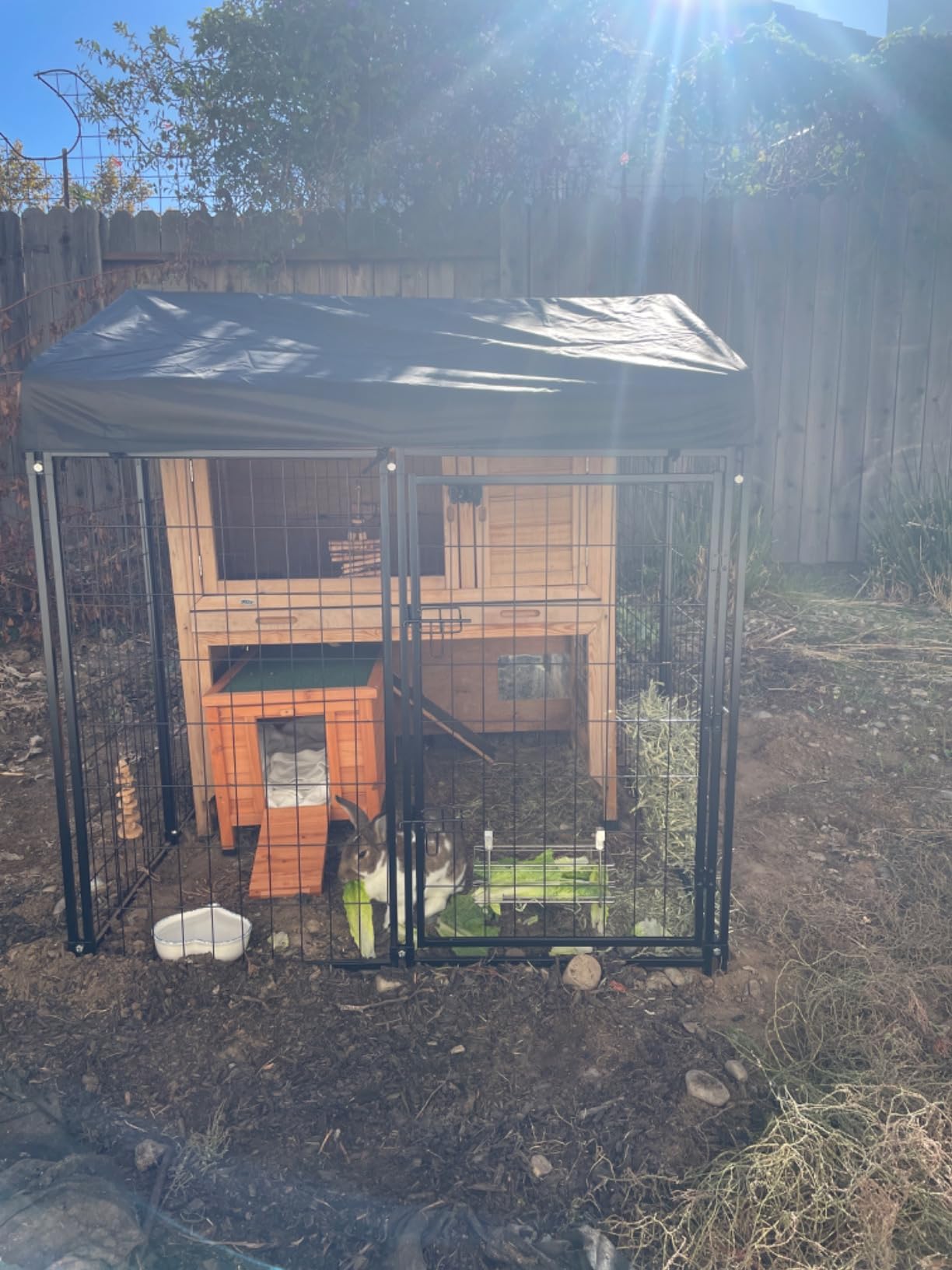 PawGiant Welded Wire Dog Kennel Outdoor with Roof, 4'x4.2'x4.5' customer photo 1