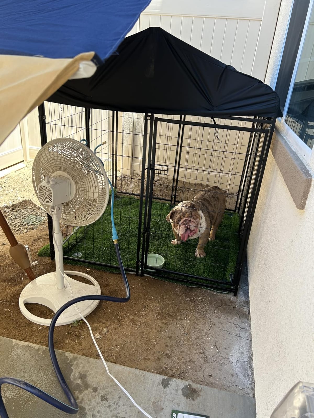 PawGiant Welded Wire Dog Kennel Outdoor with Roof, 4'x4.2'x4.5' customer photo 2