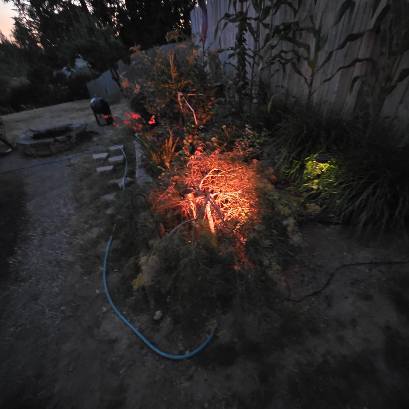 SUNVIE RGBW Landscape Lighting Kit with 300W Transformer, Waterproof, 12PCS customer photo 2