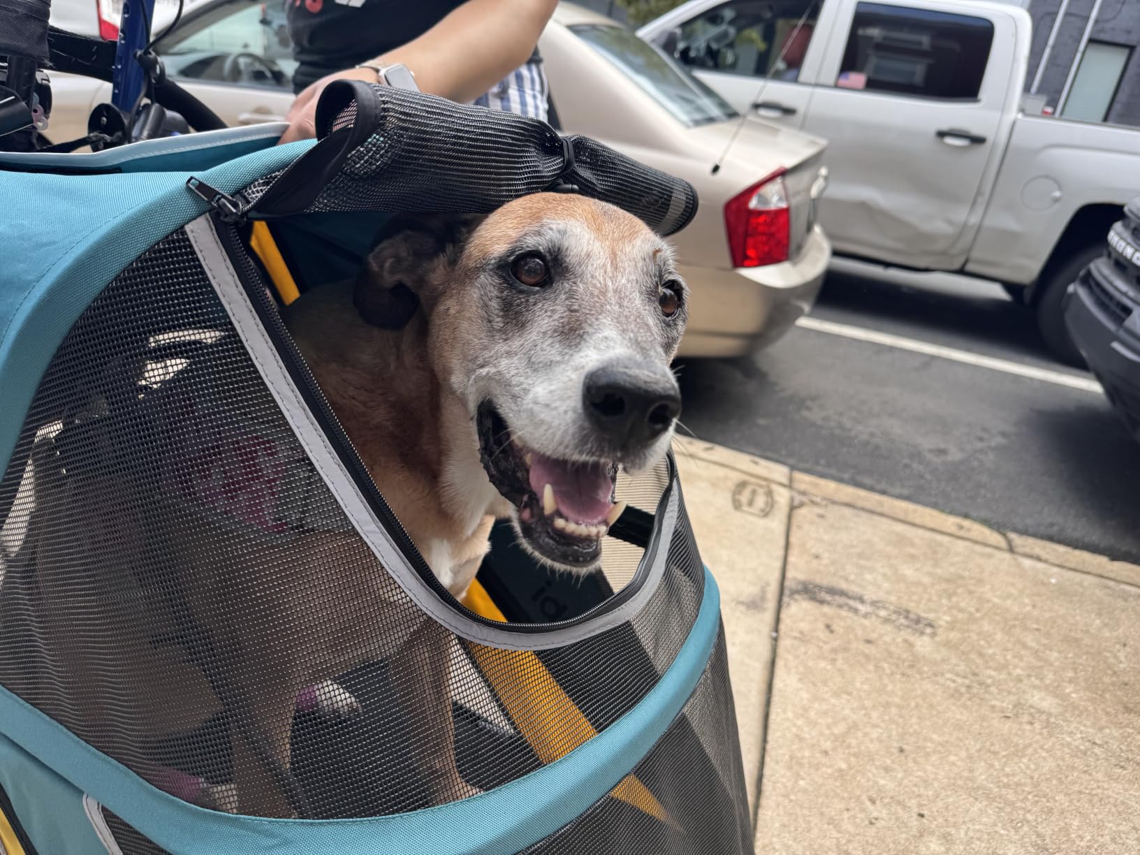 Petbobi Dog Stroller for Large Medium Dogs up to 80 lbs, Dual Entry customer photo 2