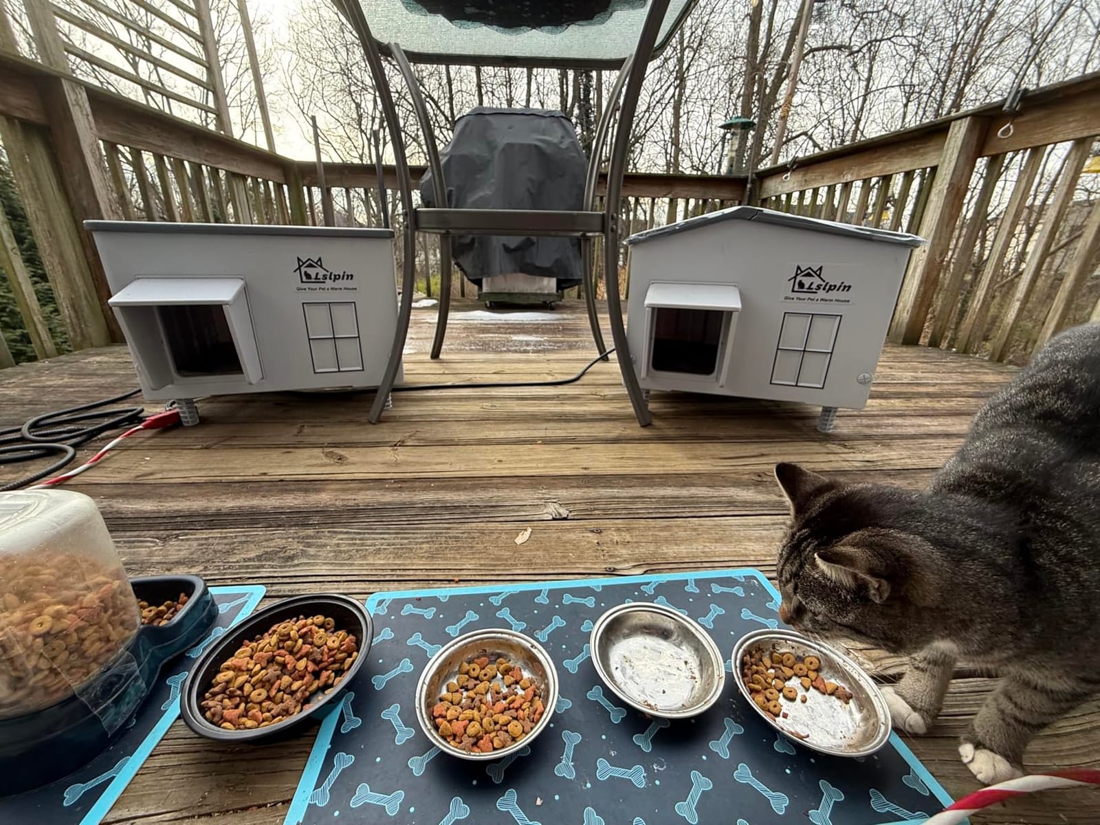 Large Heated Cat House for Outside Cats in Winter, Lslpin Weatherproof & Insulated Outdoor Feral Cat House with Escape Door,Outside Cats House Shelter with Heating Pad 21.6×16.9×17.5 customer photo 1