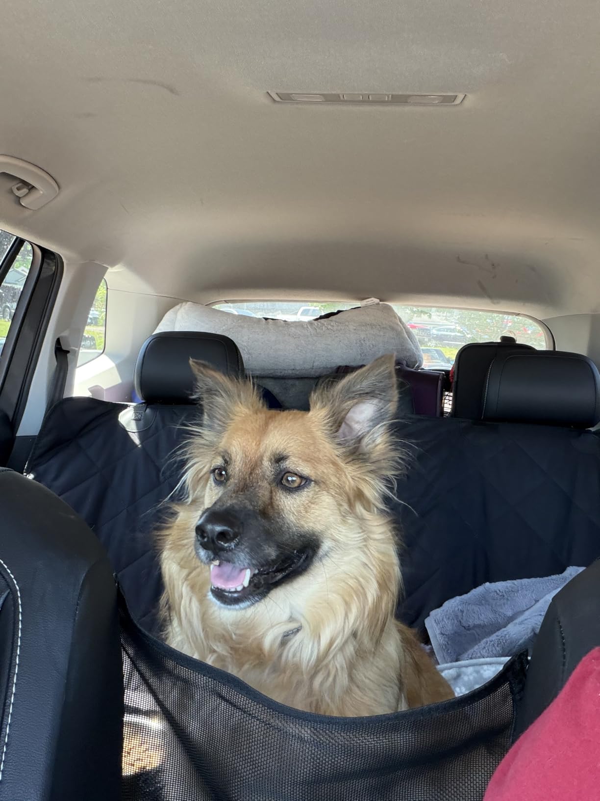 Hard Bottom Dog Car Seat Cover for Back Seat, Back Seat Extender customer photo 2
