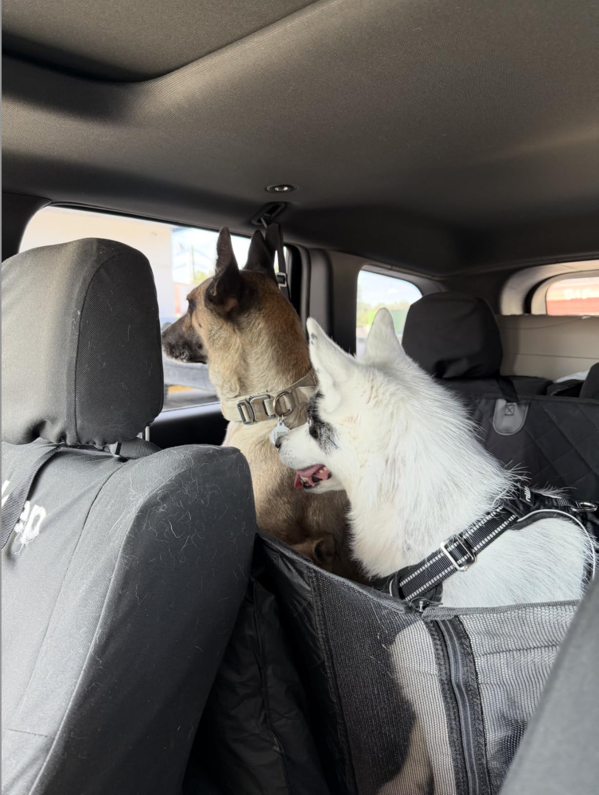 Dog Car Seat Cover, 600D Heavy Dute Car Seat Cover for Dogs Pets, 100% Waterproof Anti-Scratch Nonslip Dog Hammock for Cars, Seat Covers Protector with SeatBelt for Sedan SUV Truck Standard Black customer photo 1